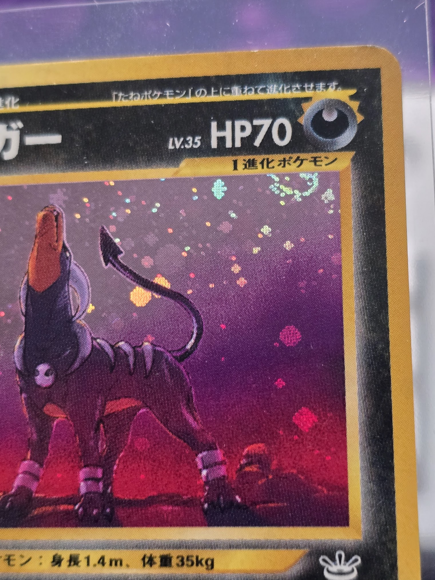 japanese houndoom pokemon card PSA 10 #066 Night Wanderer SV6a Evolves from Houndour Dark Houndoom (021/084) - Rocket