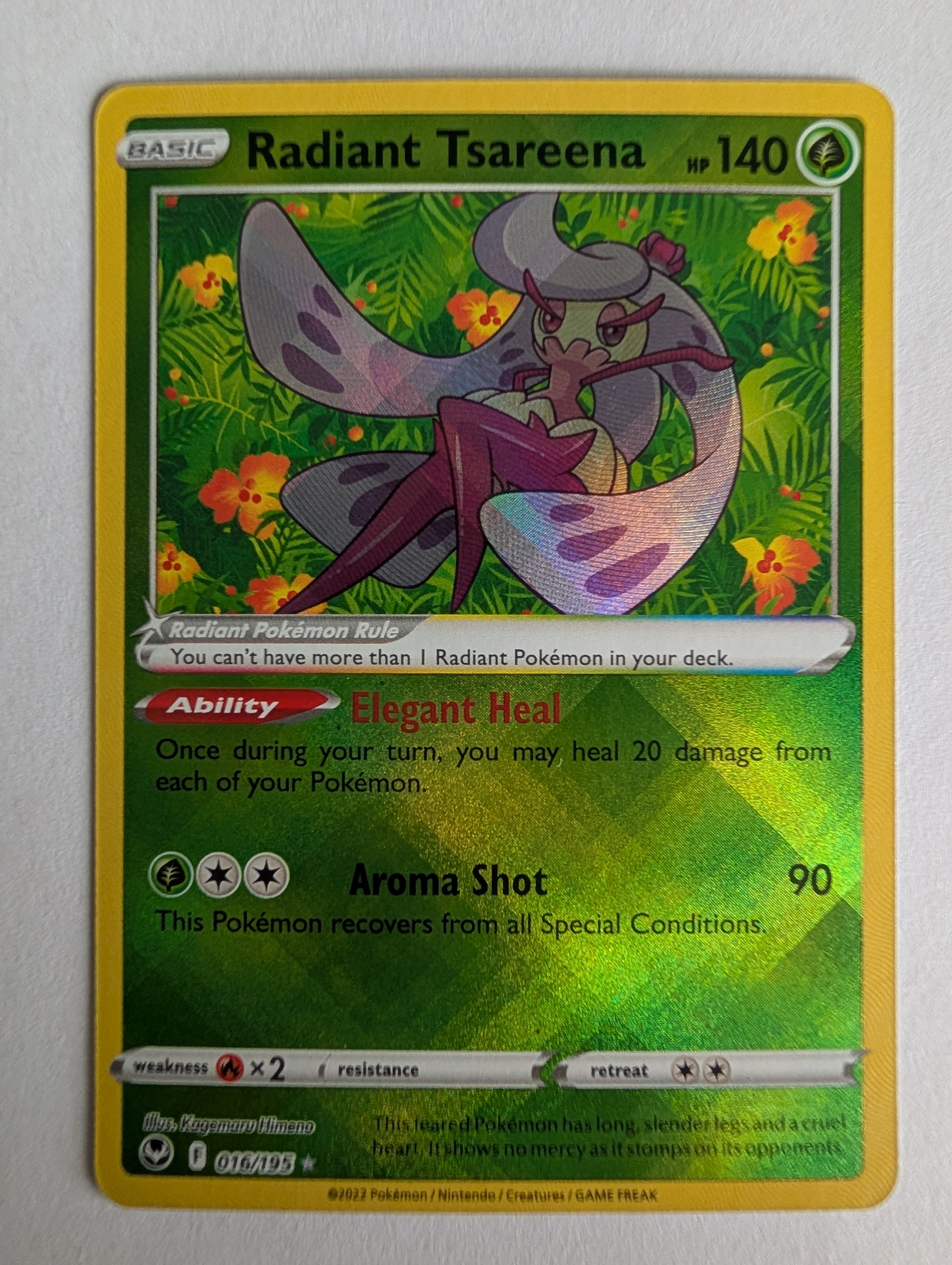 1 gen pokemon cards Pokemon Generation 1 Kanto Starters Plaque 3 Cards