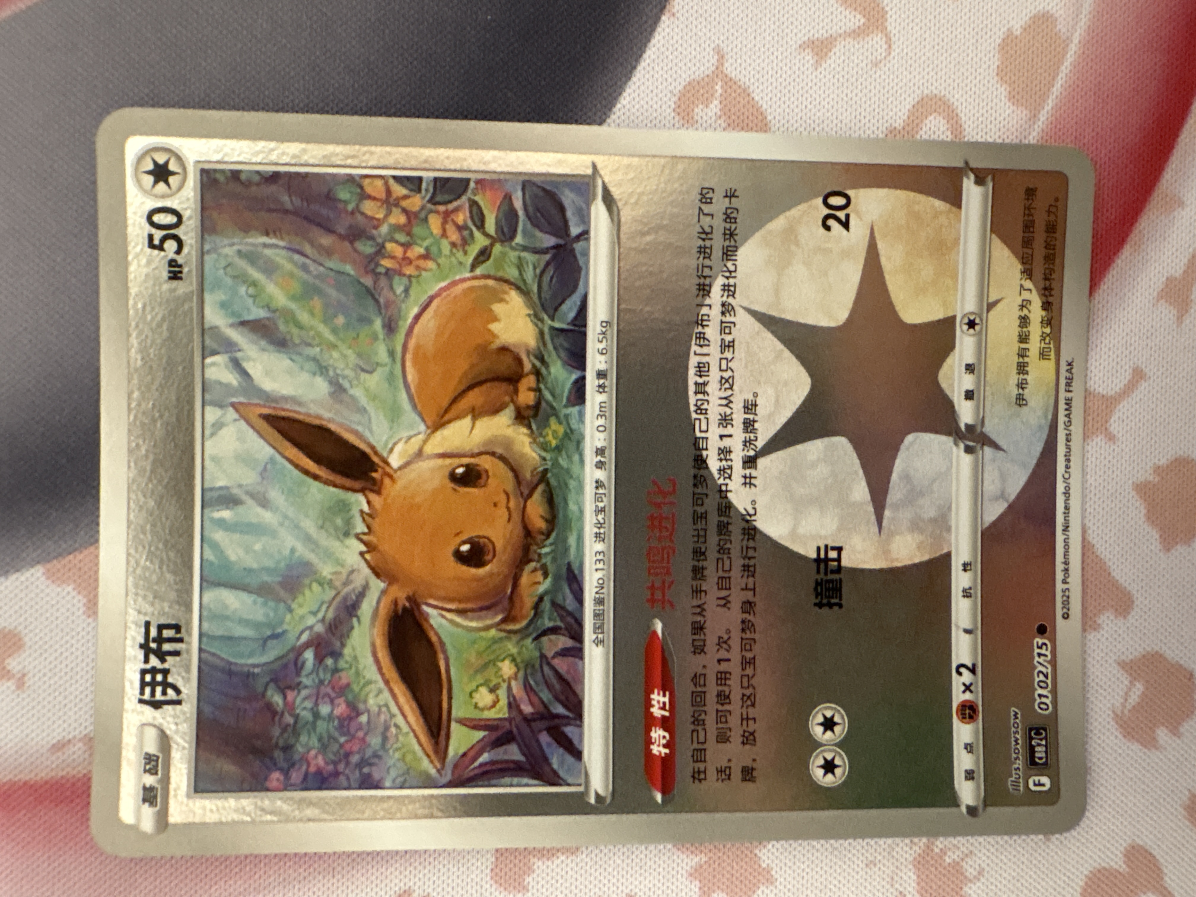 shiny eevee pokemon cards TCG Chinese Hidden Fates Vault / AC1b #167/158 S clear acrylic holder that perfectly accentuates the stunning visual design and character artwork Eevee (02) 2025 Pokemon Simplified