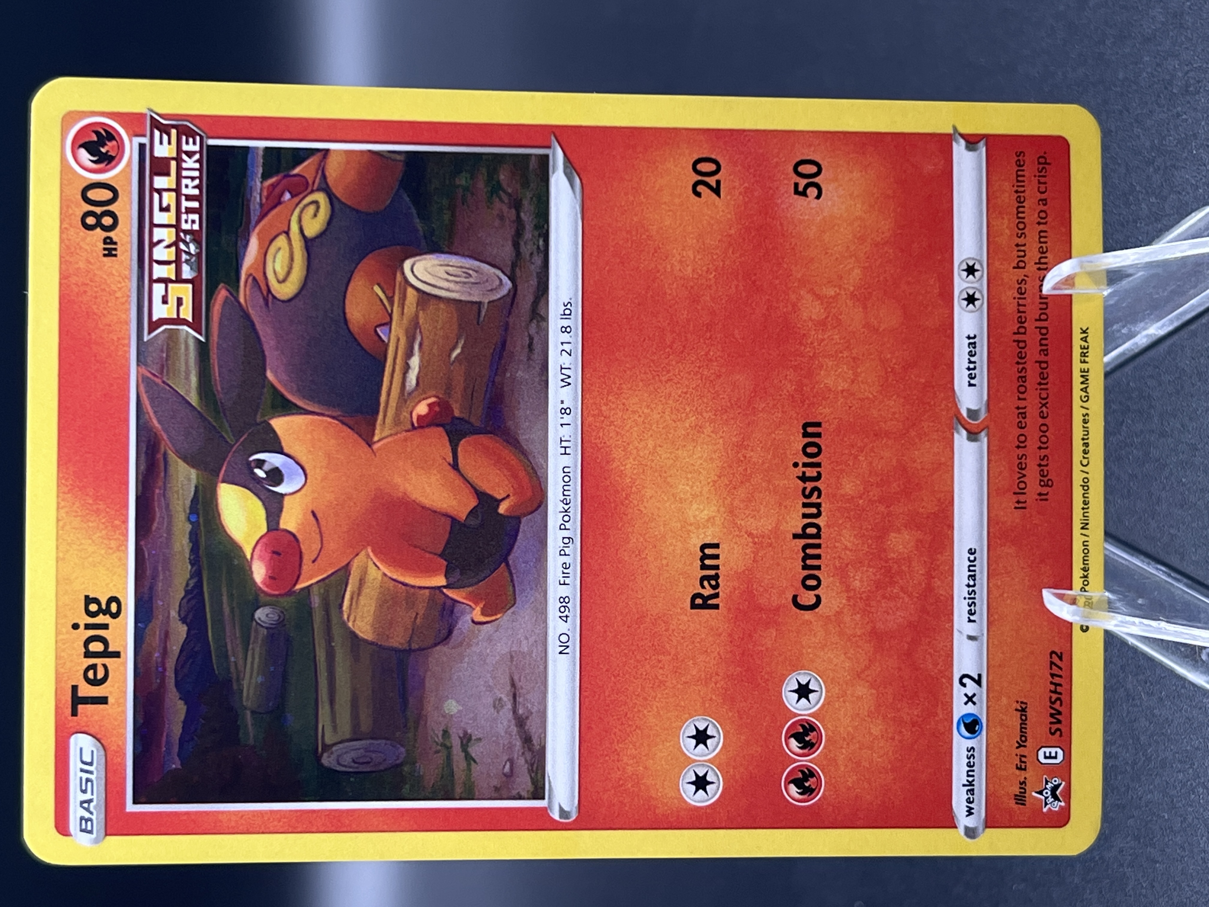 how much is a tepig pokemon card worth (BW02) - Holofoil Black and White Promos type Legendary Treasure card from Pokemon Black Tepig - 2011 (David Cohen)