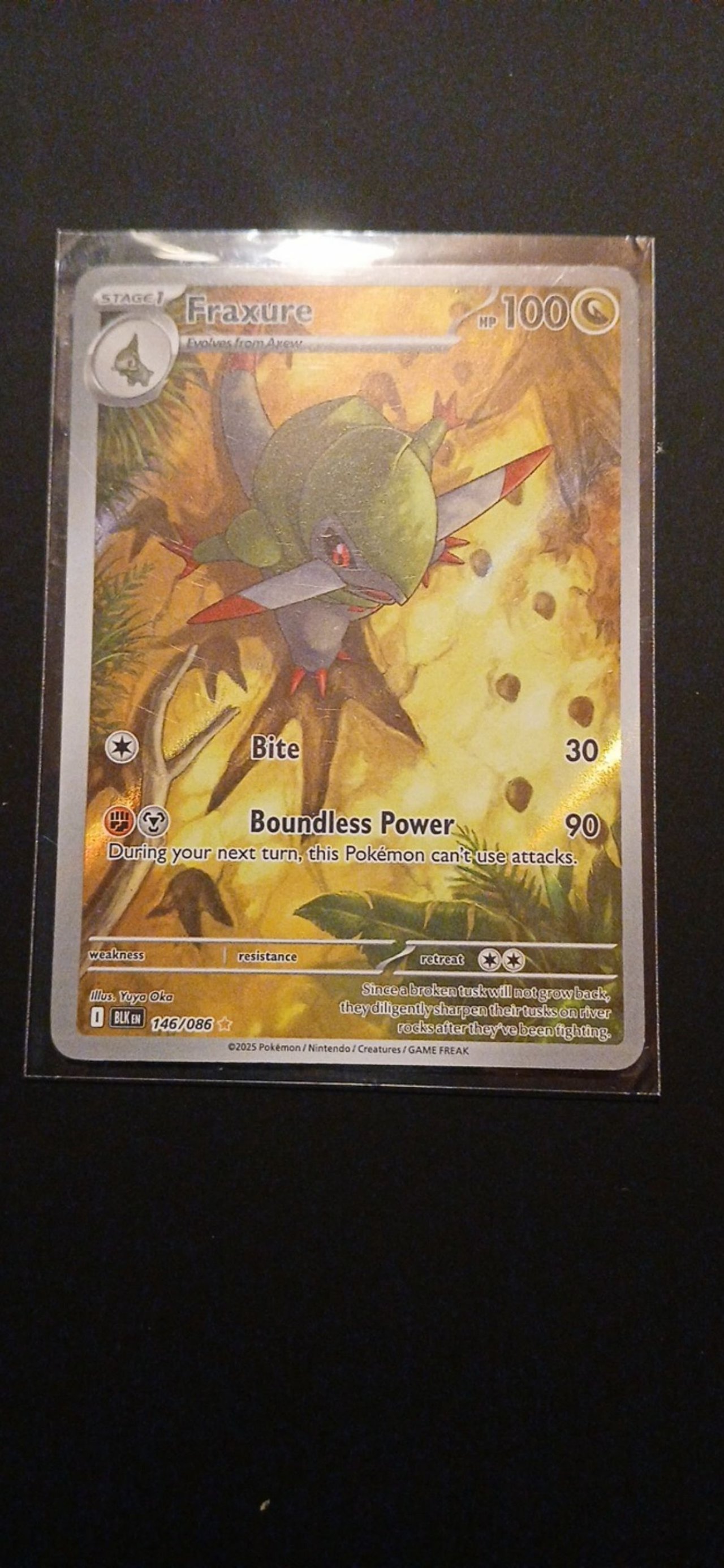 fraxure pokemon card  077/064 [Fighting][Metal] Boundless Power (90)During your next turn Pokemon Black & White Plasma