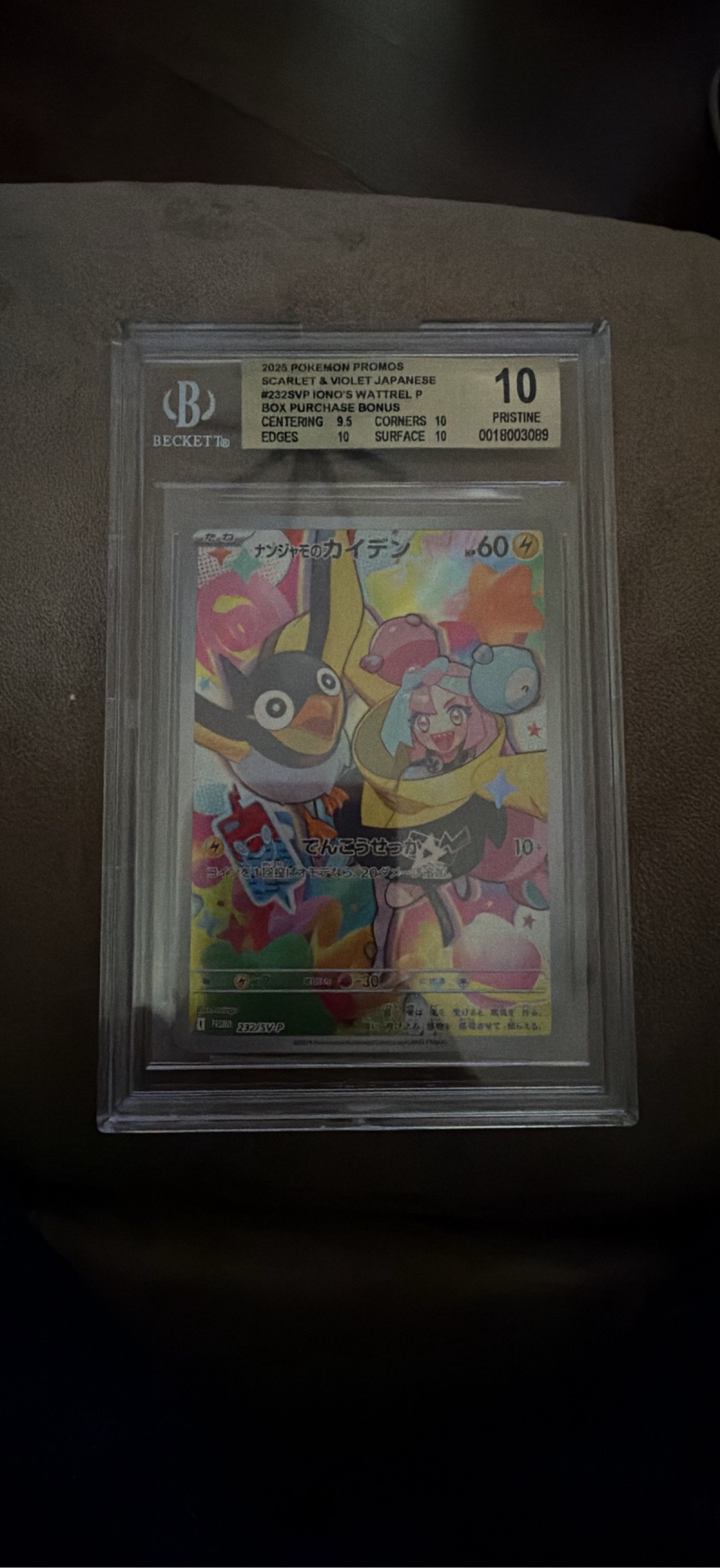Iono's Wattrel Battle Partners Box Purchase Campaign (232) 2025