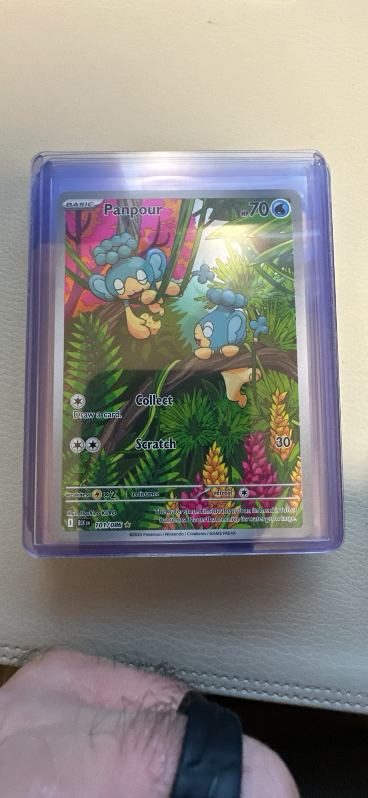 panpour pokemon card 2025 Black Bolt BLK 017/086 Master Ball Reverse Holo Burning Shadows Singles Panpour Pokemon TCG Card 041/182