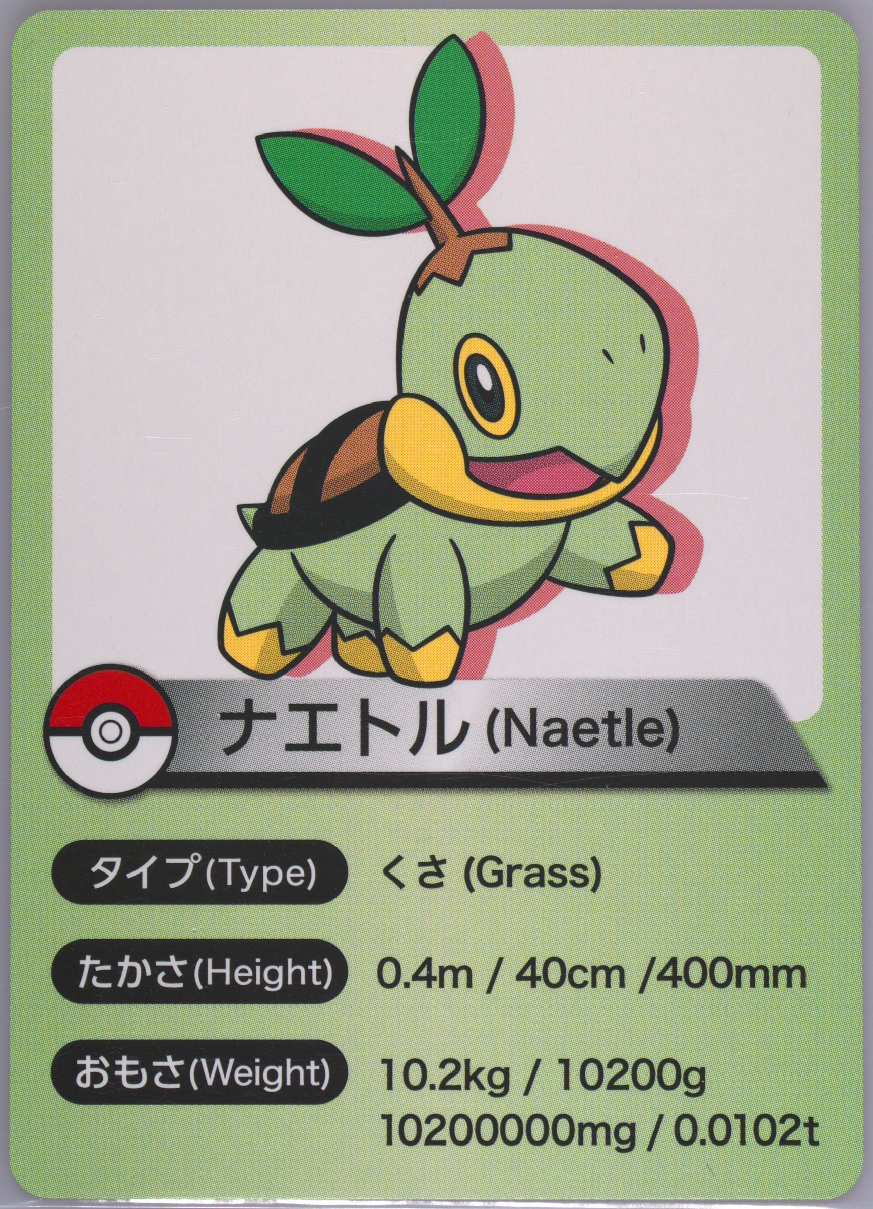 Turtwig