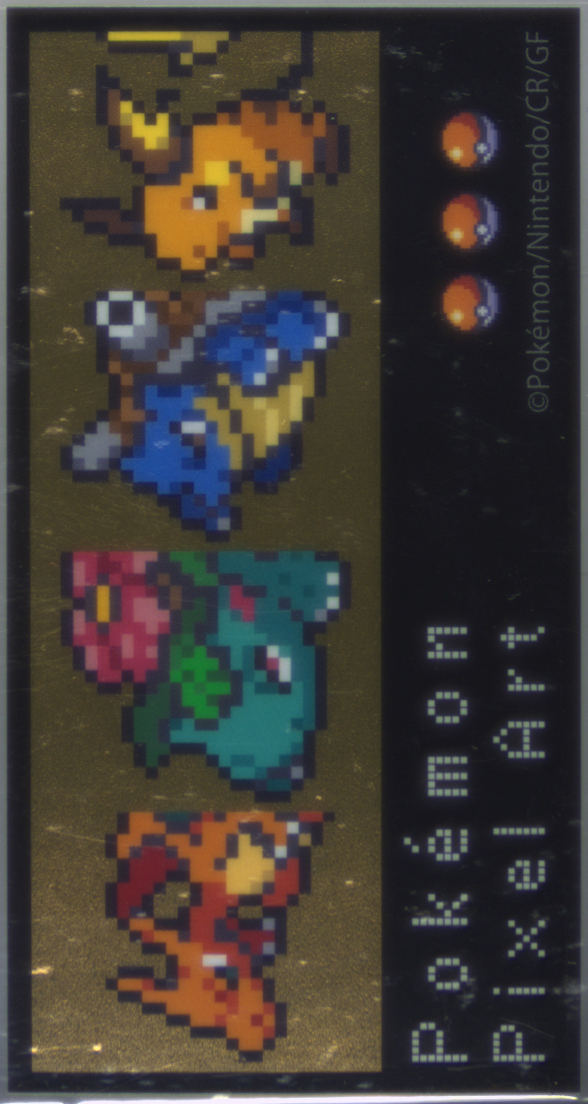 Blastoise/Charizard/Raichu/Venusaur