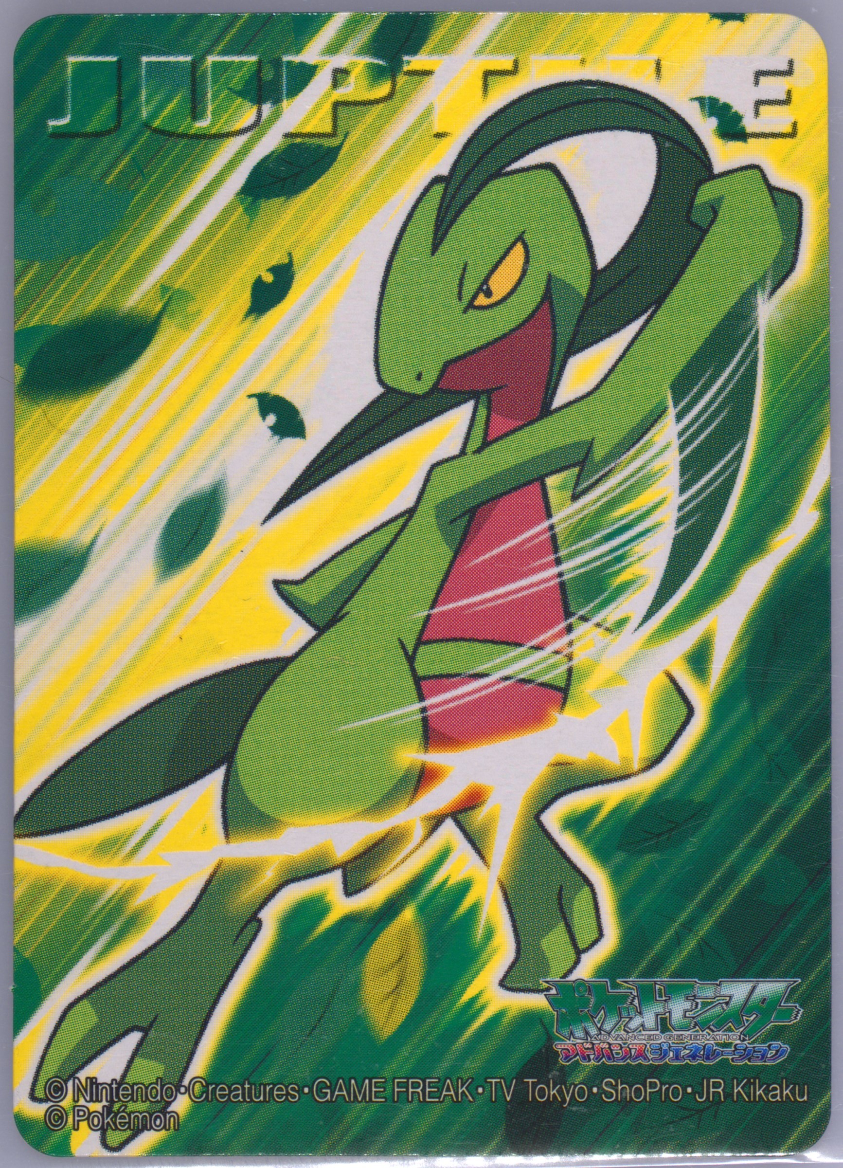 Grovyle