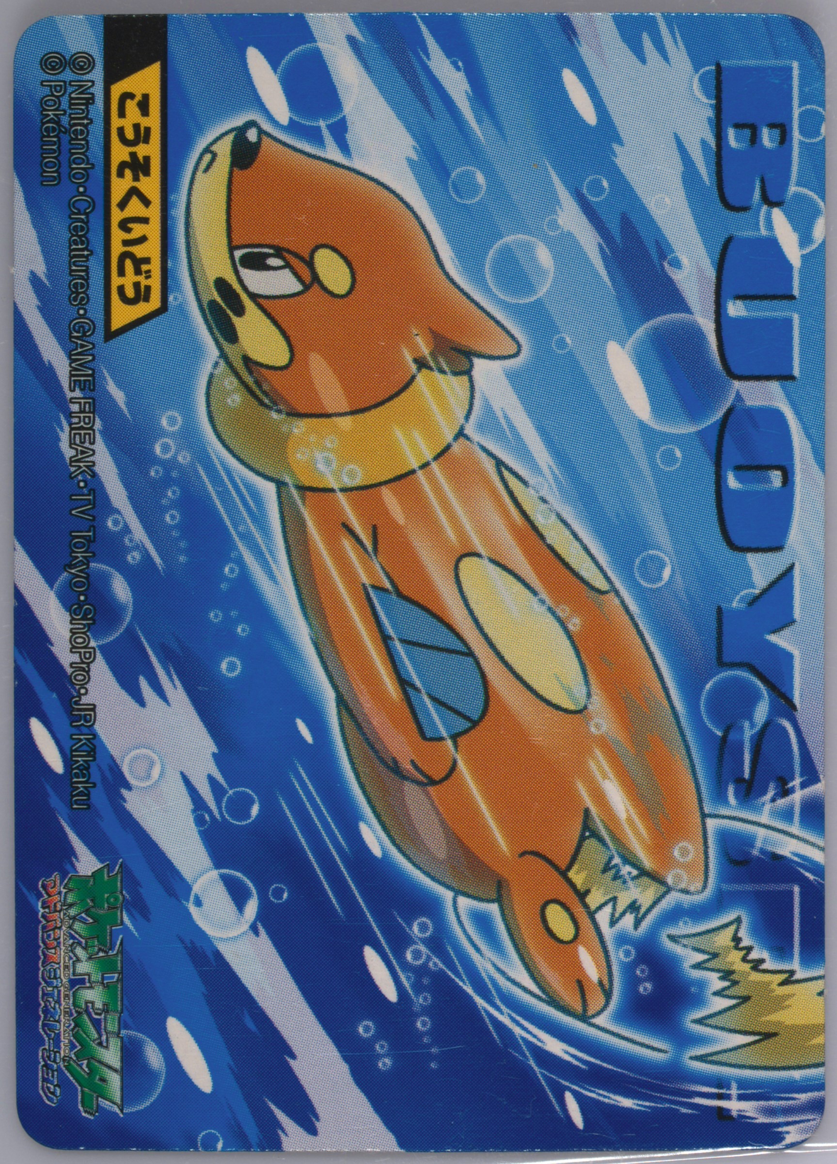 Buizel