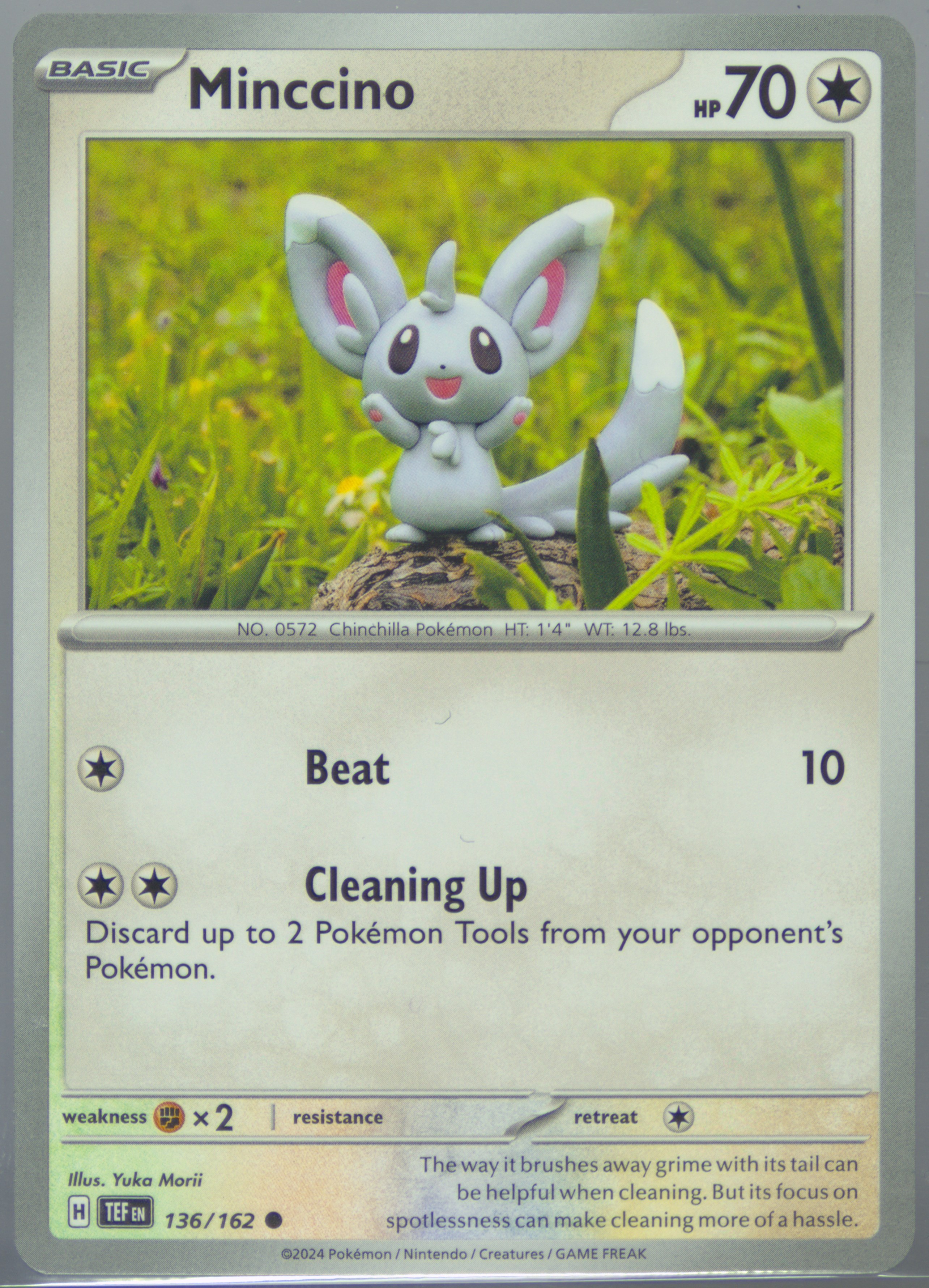 Minccino