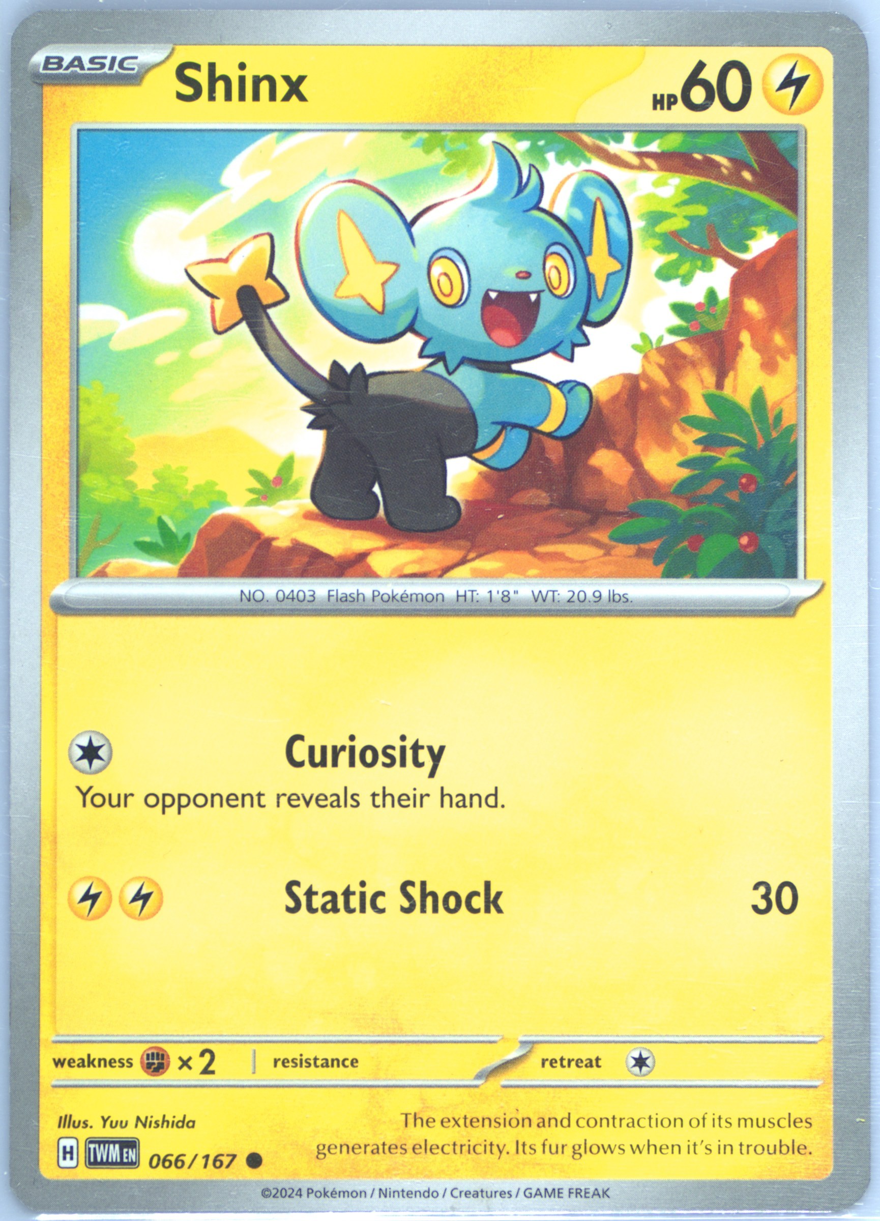 Shinx