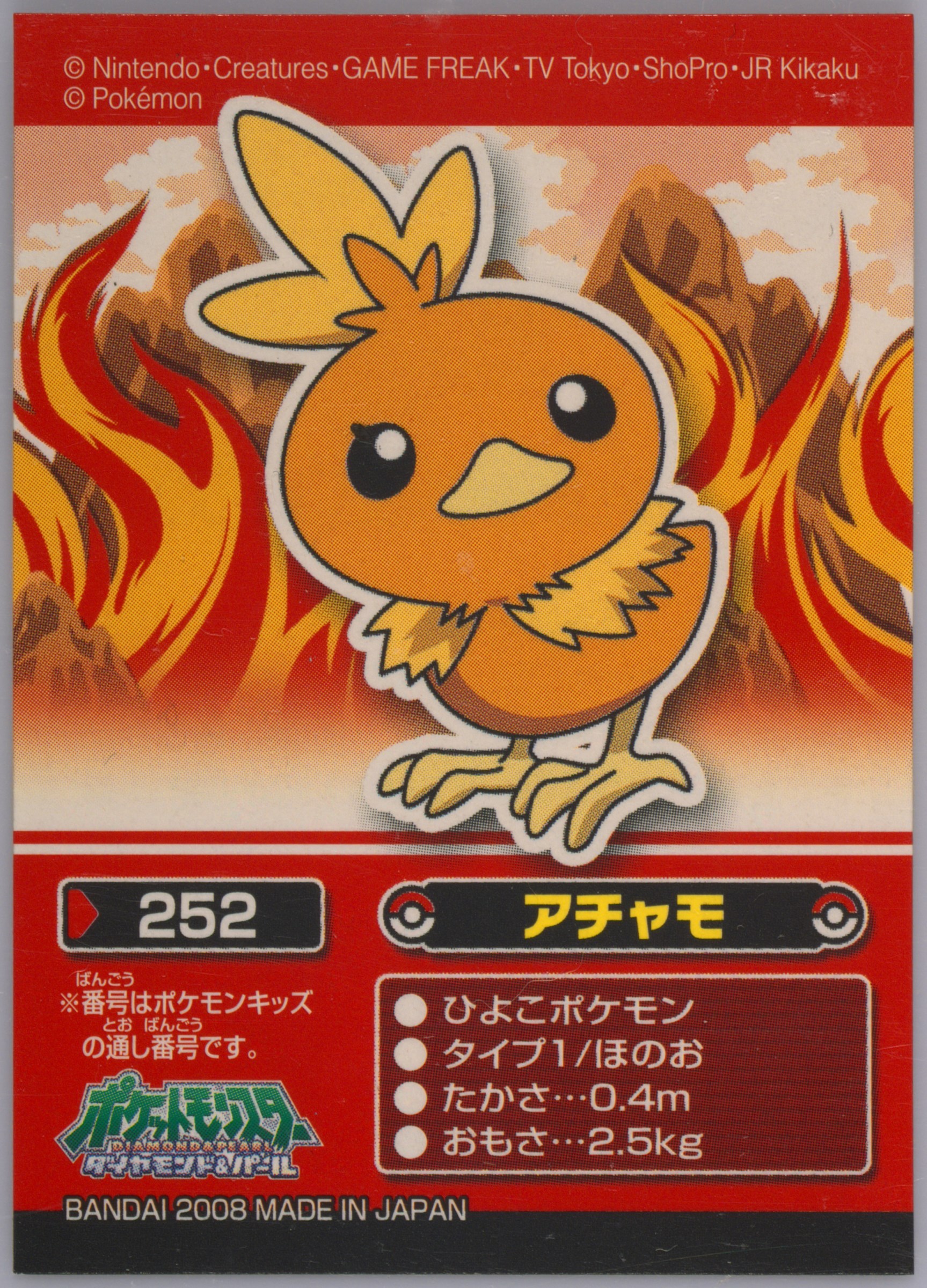 Torchic