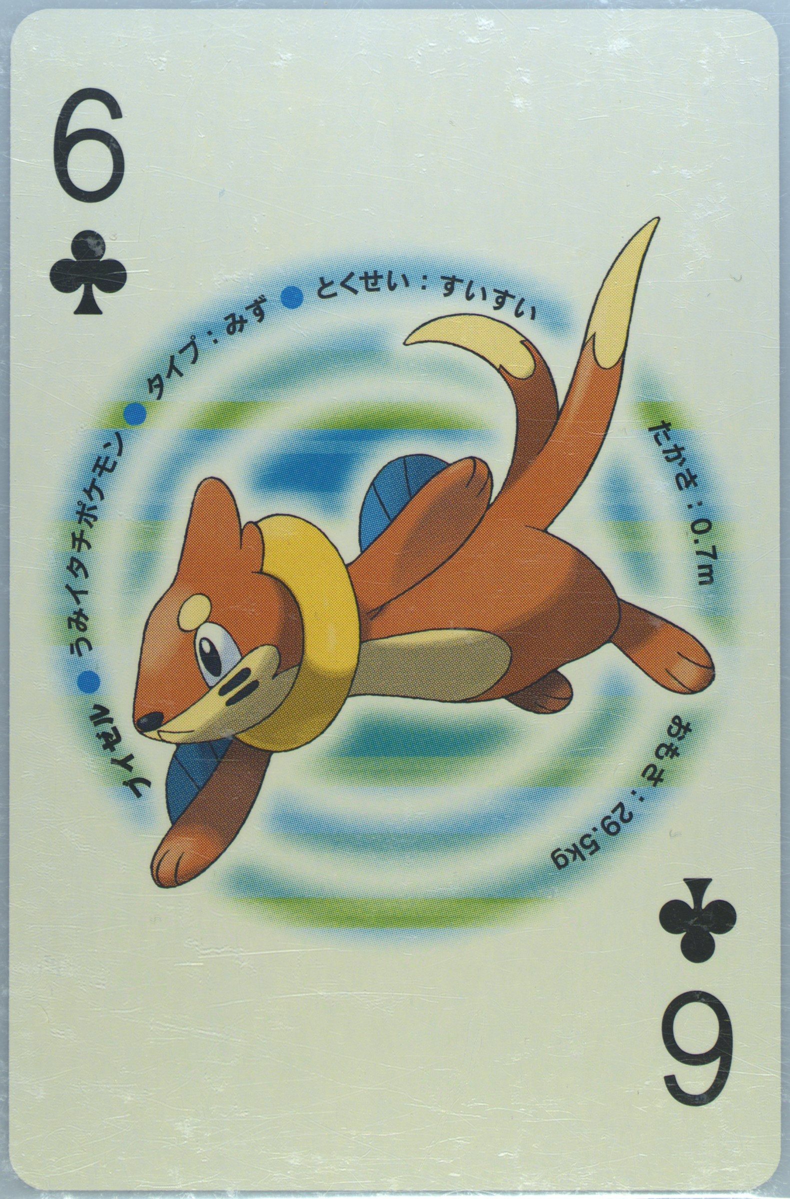 Buizel