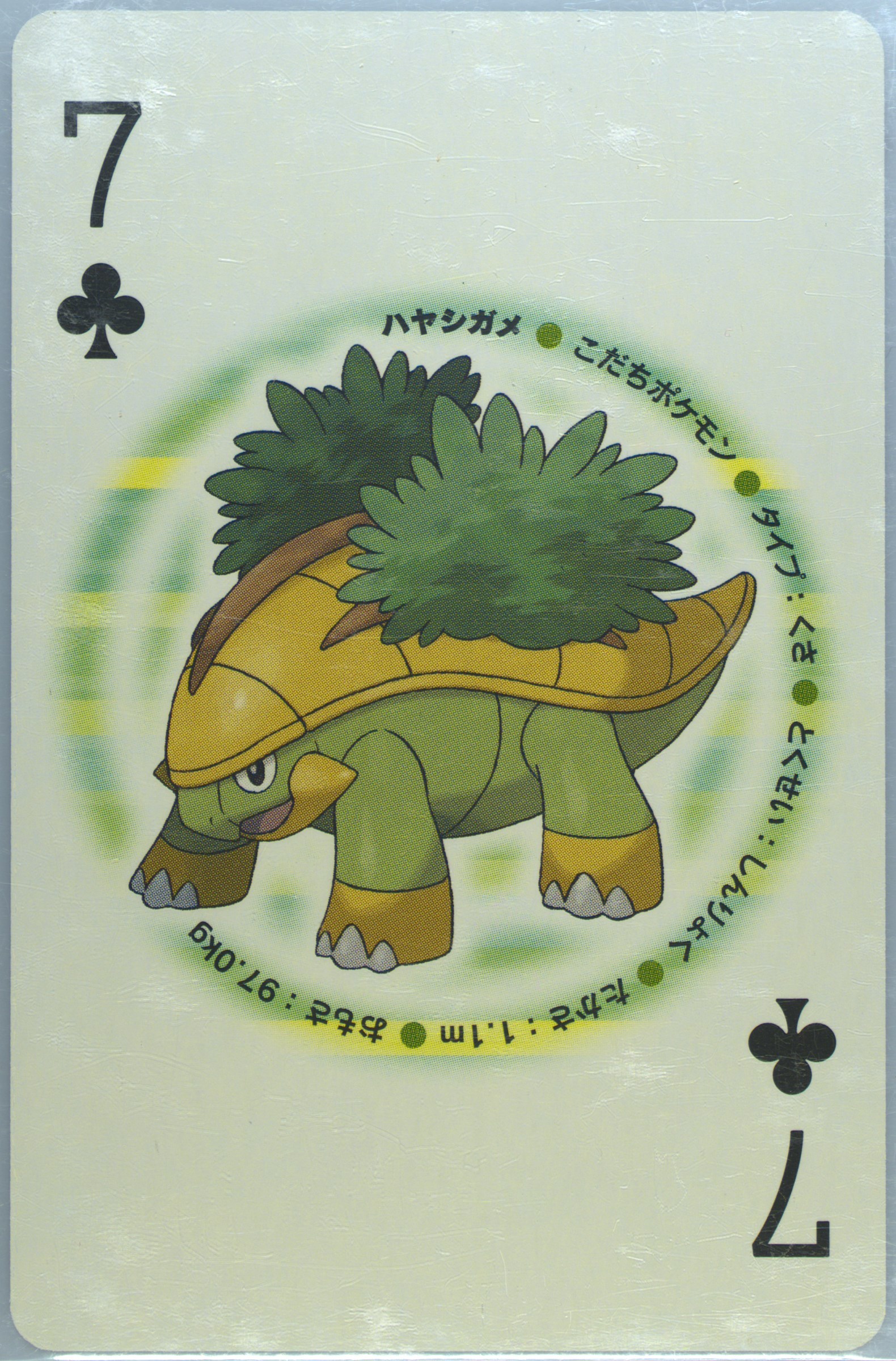 Grotle