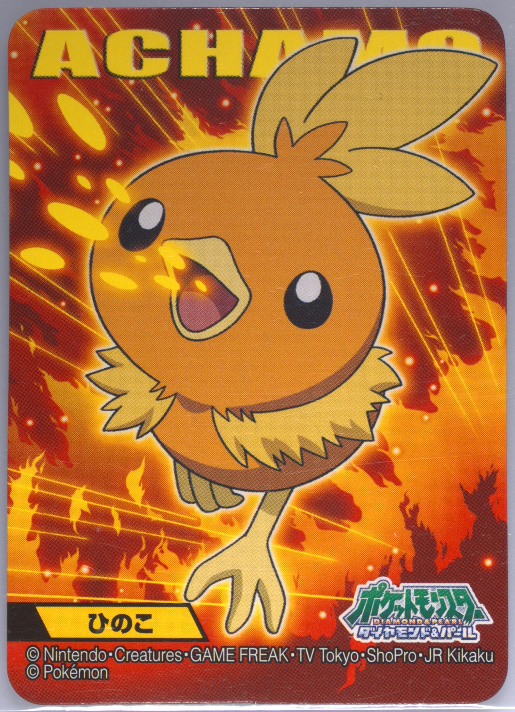 Torchic