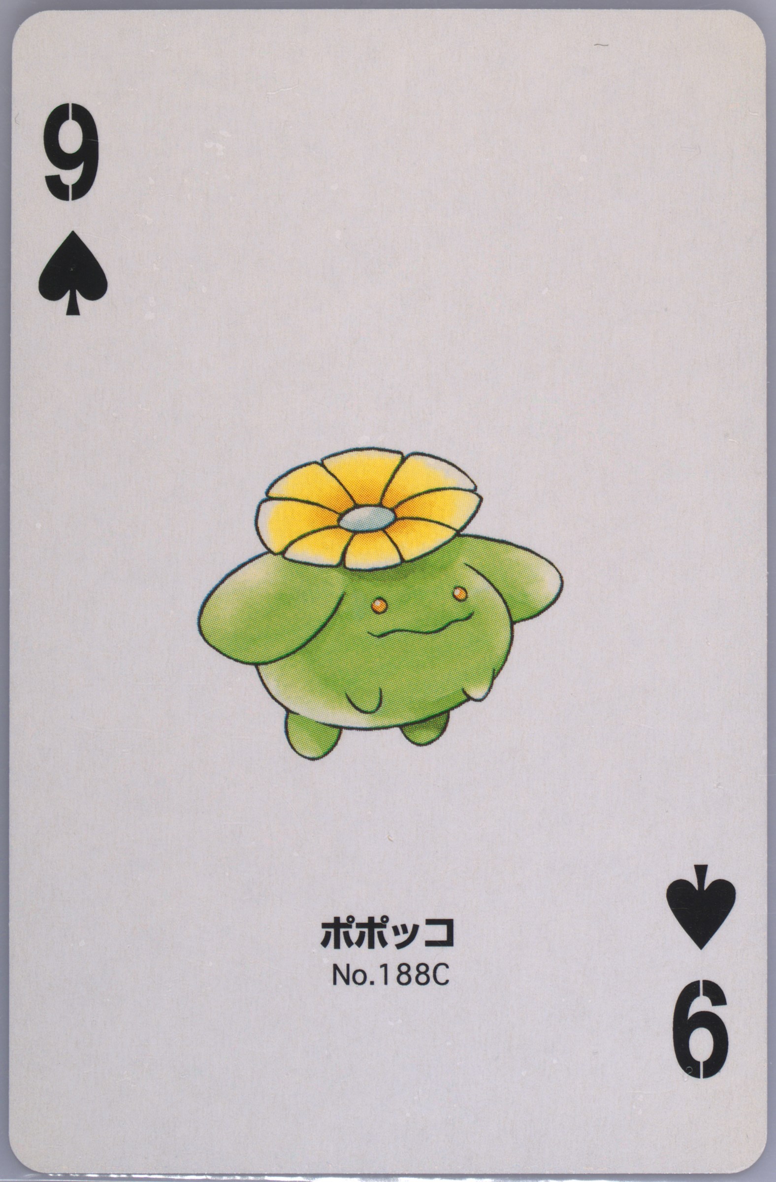Skiploom