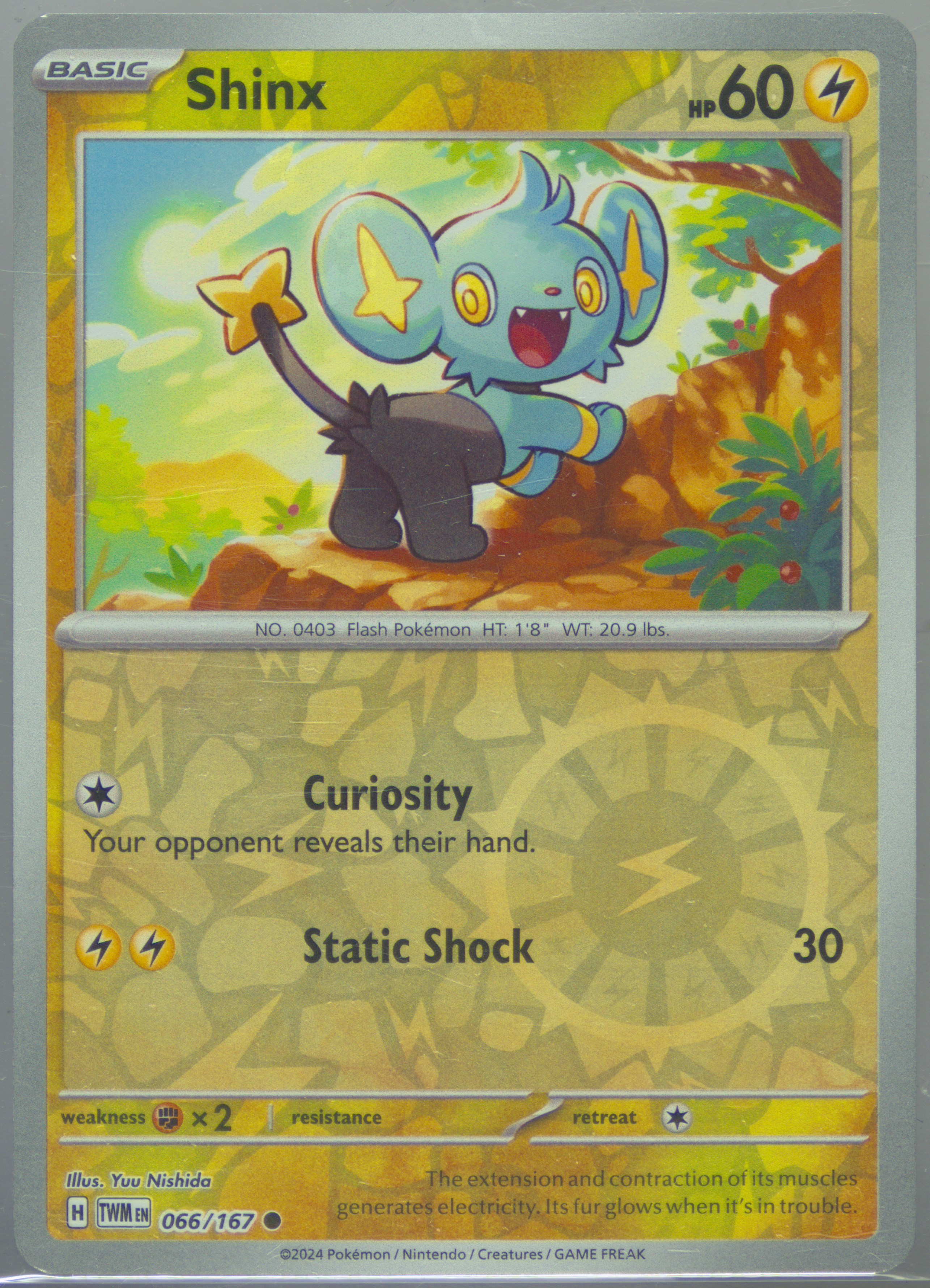 Shinx