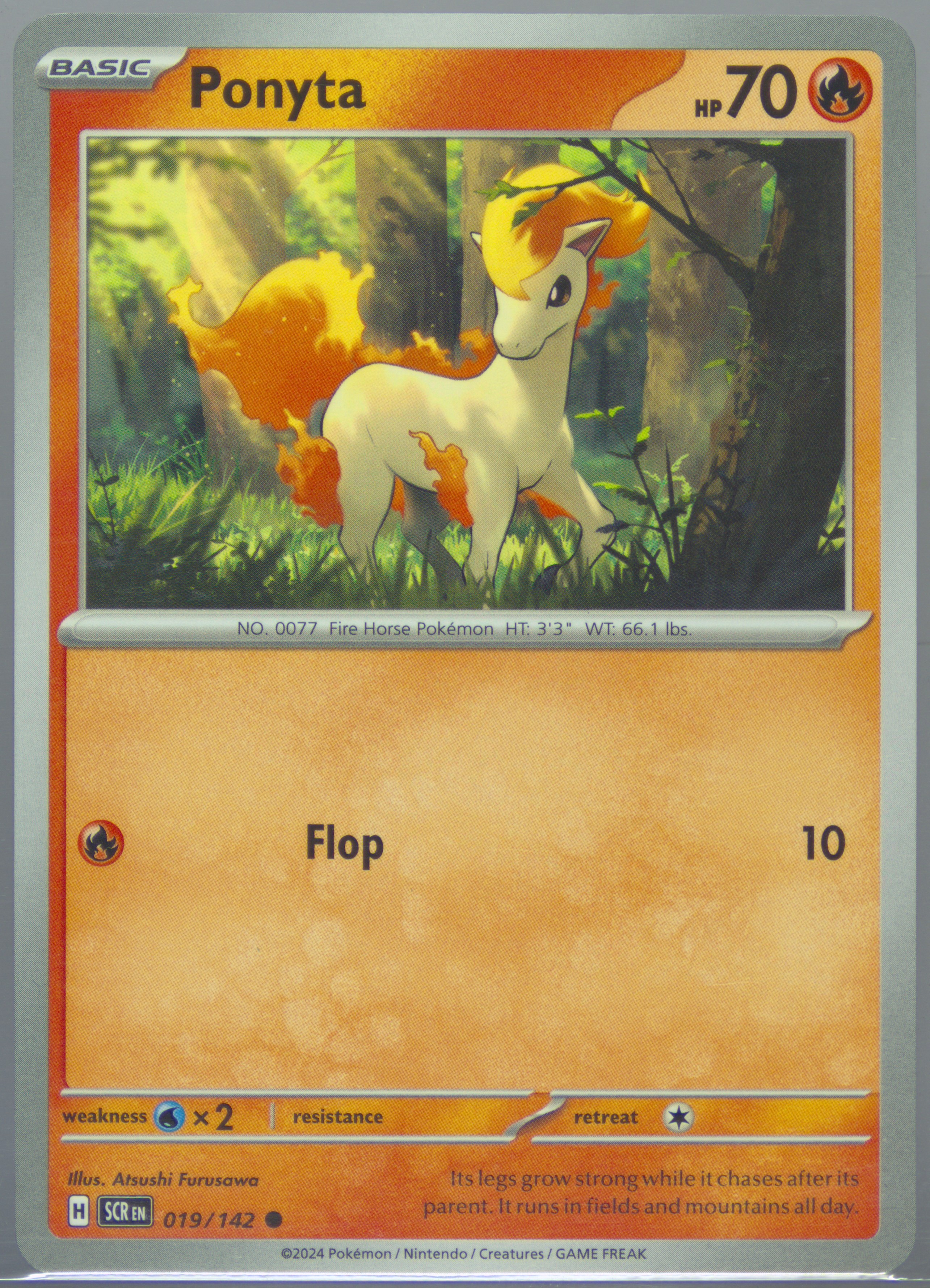 Ponyta