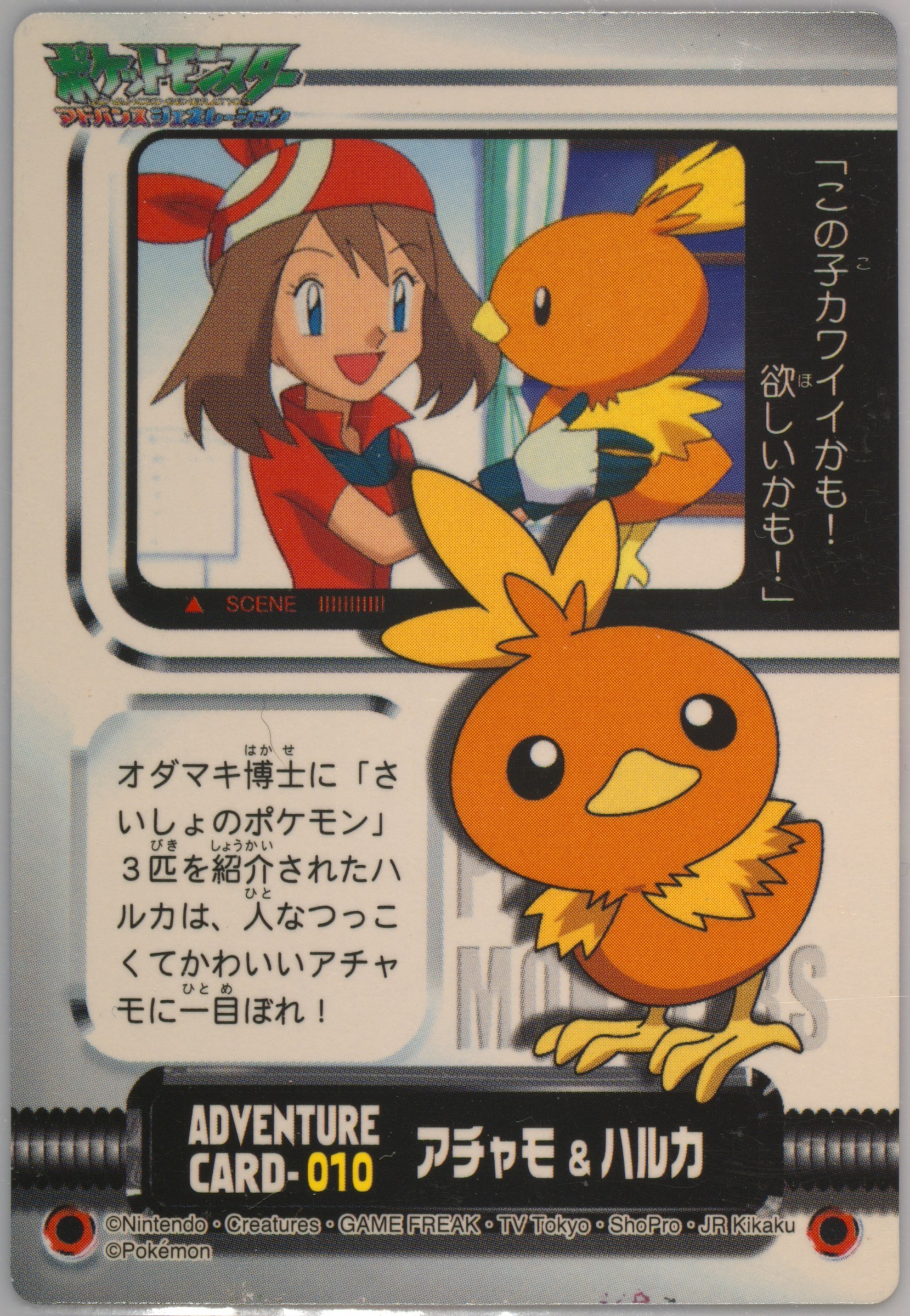 Torchic