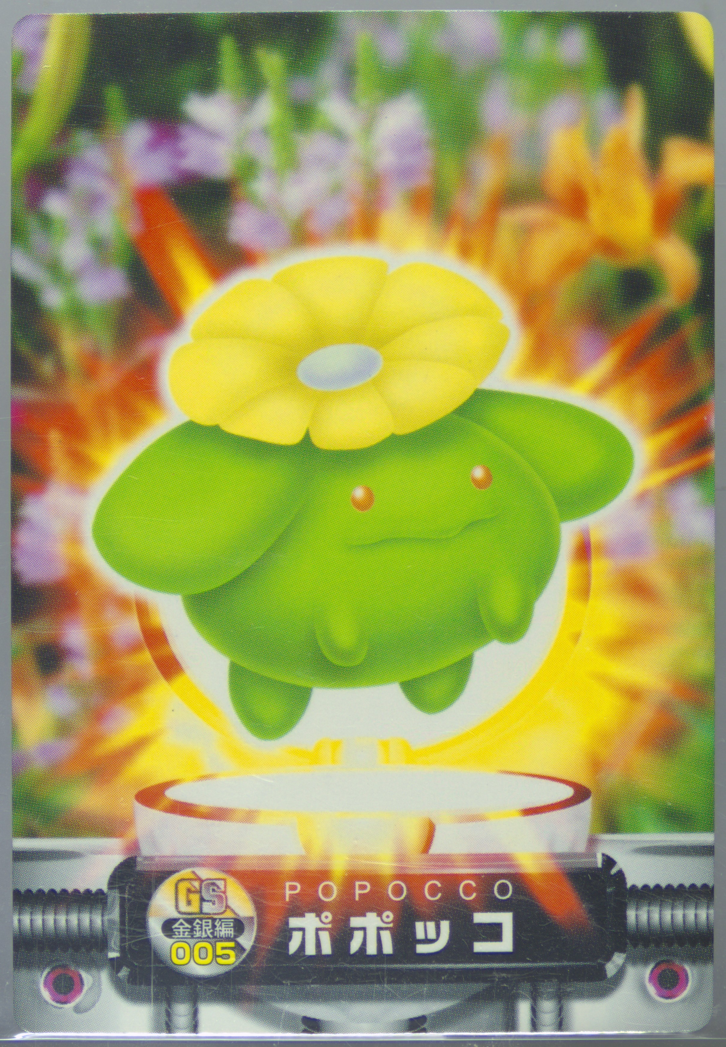 Skiploom