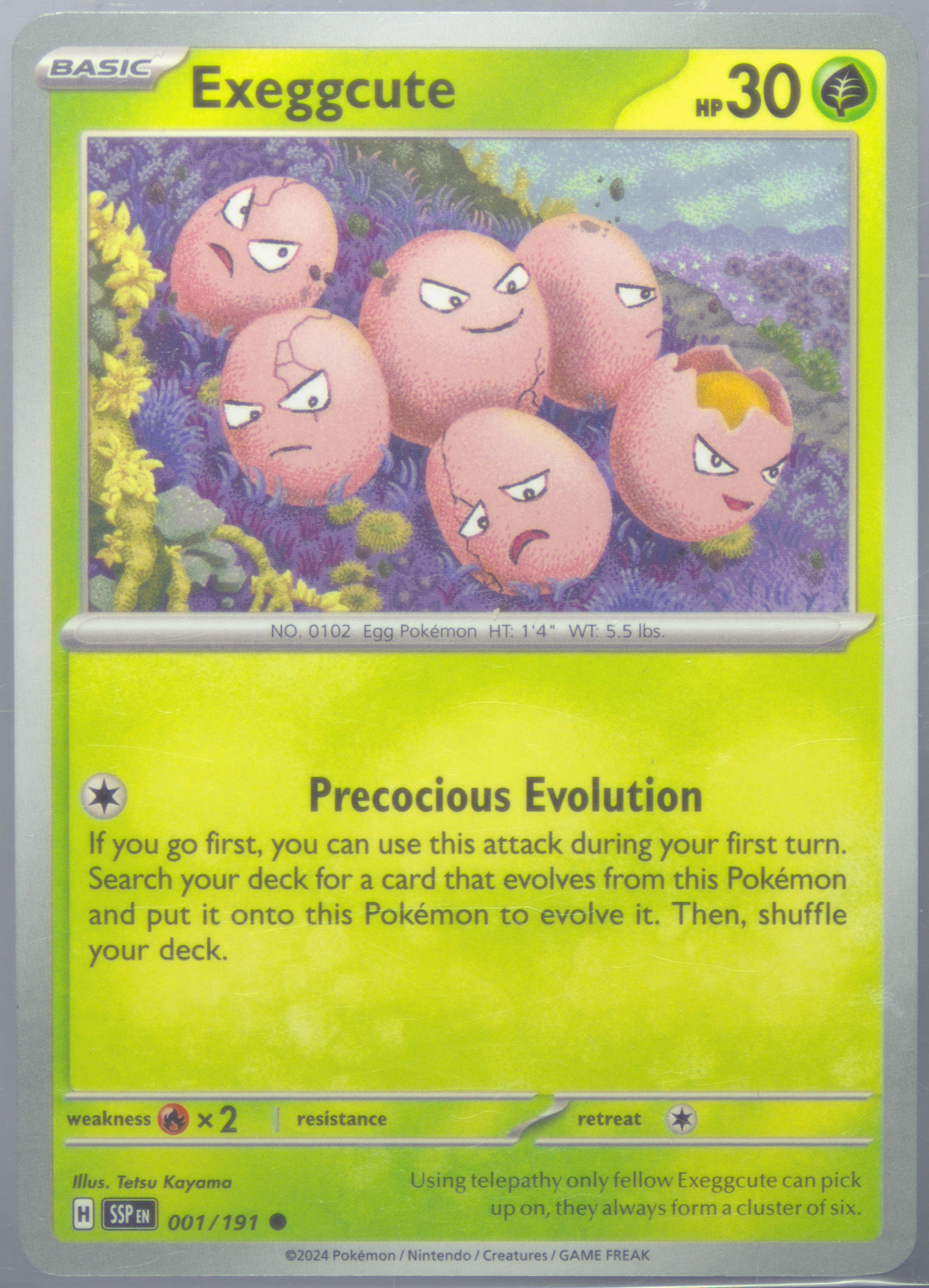 Exeggcute