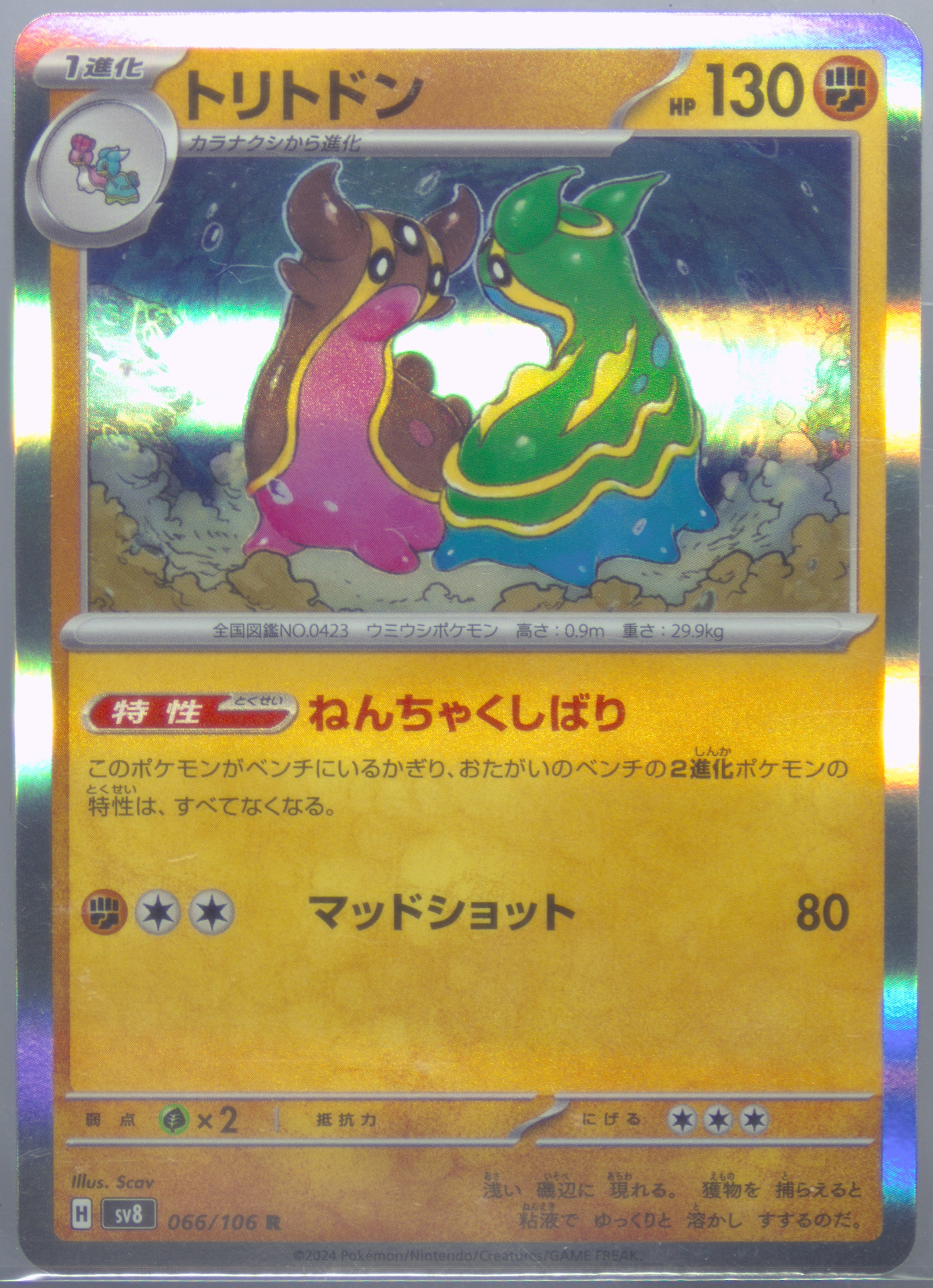 Gastrodon