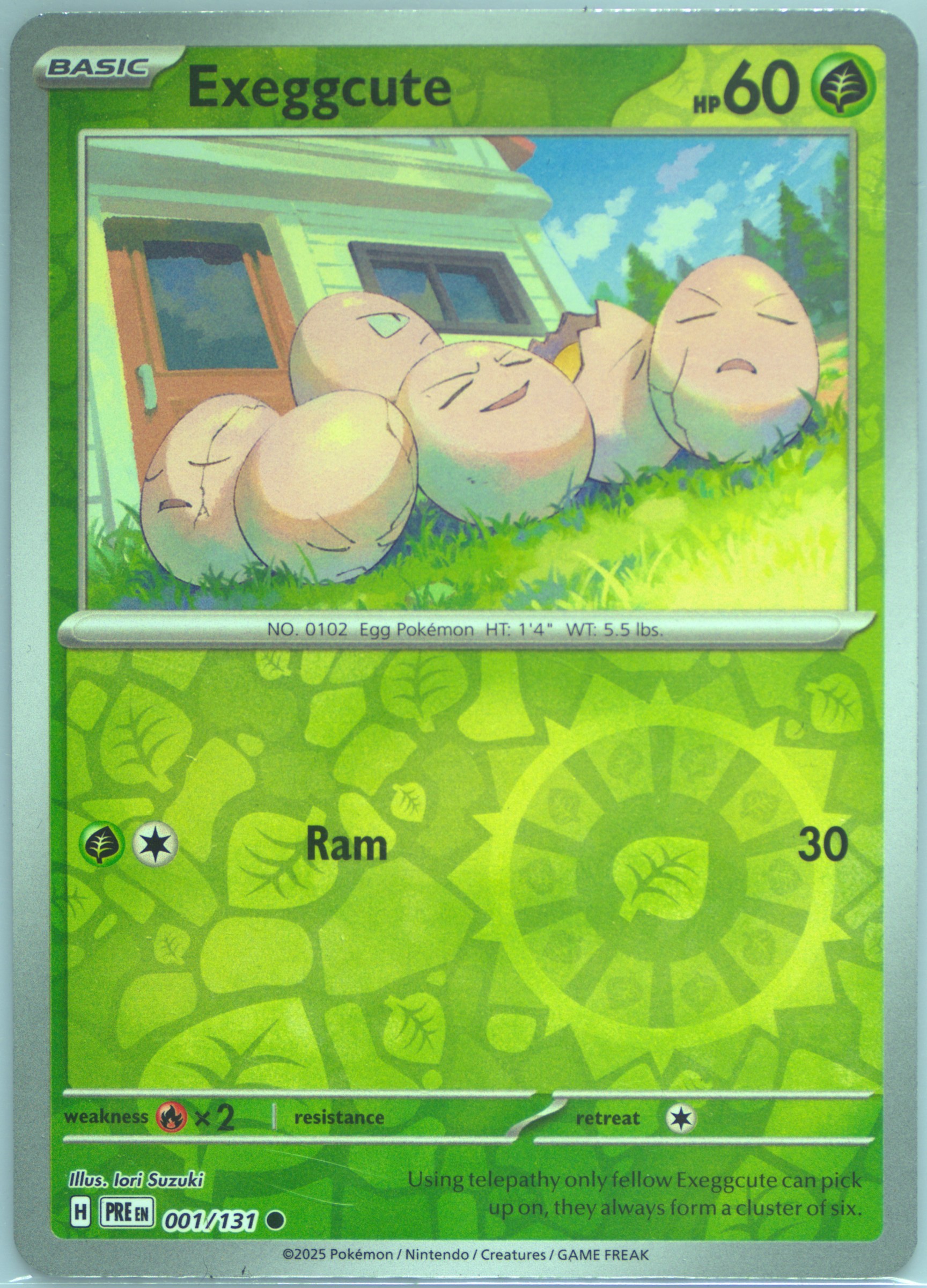 Exeggcute