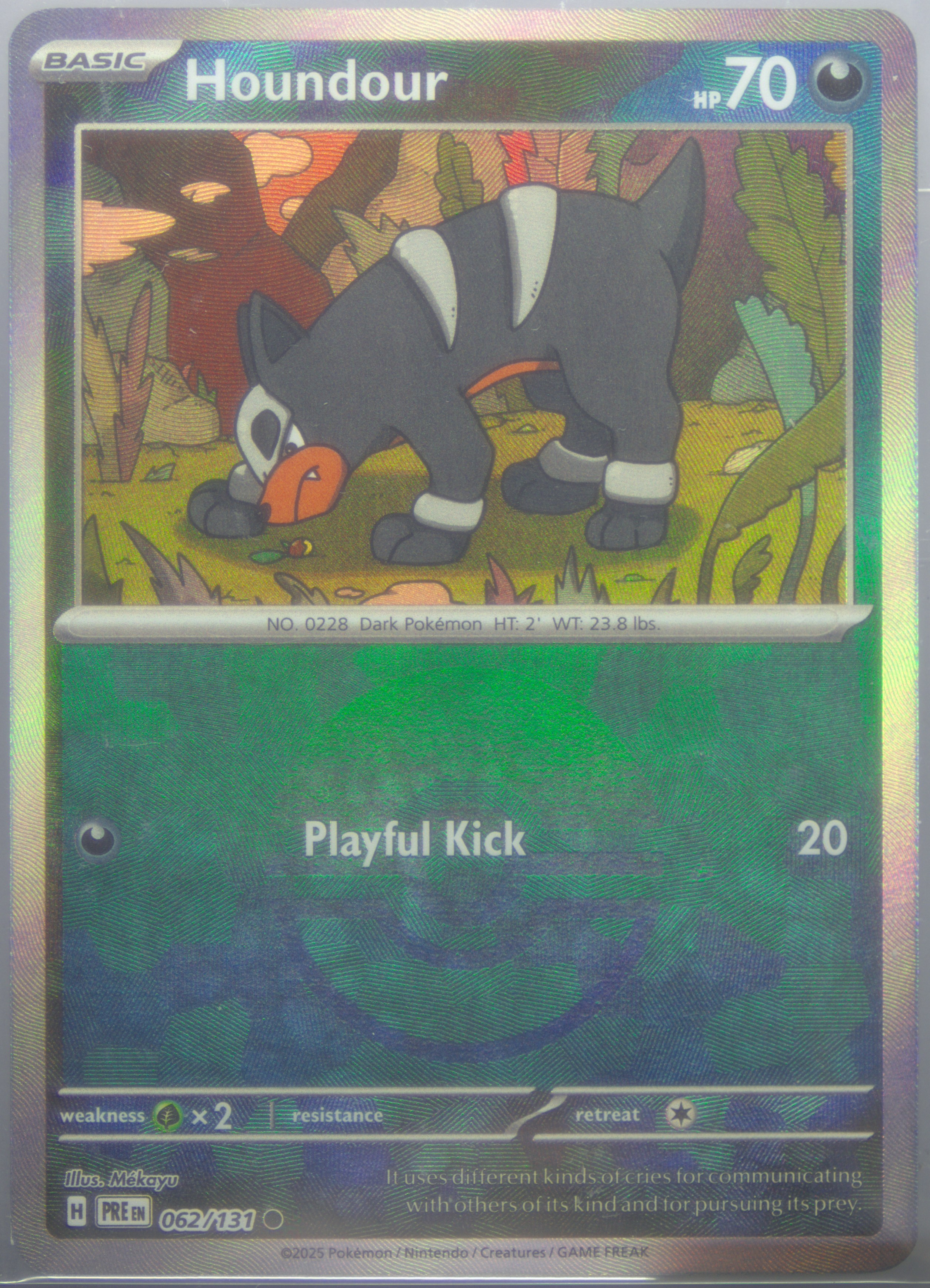 Houndour