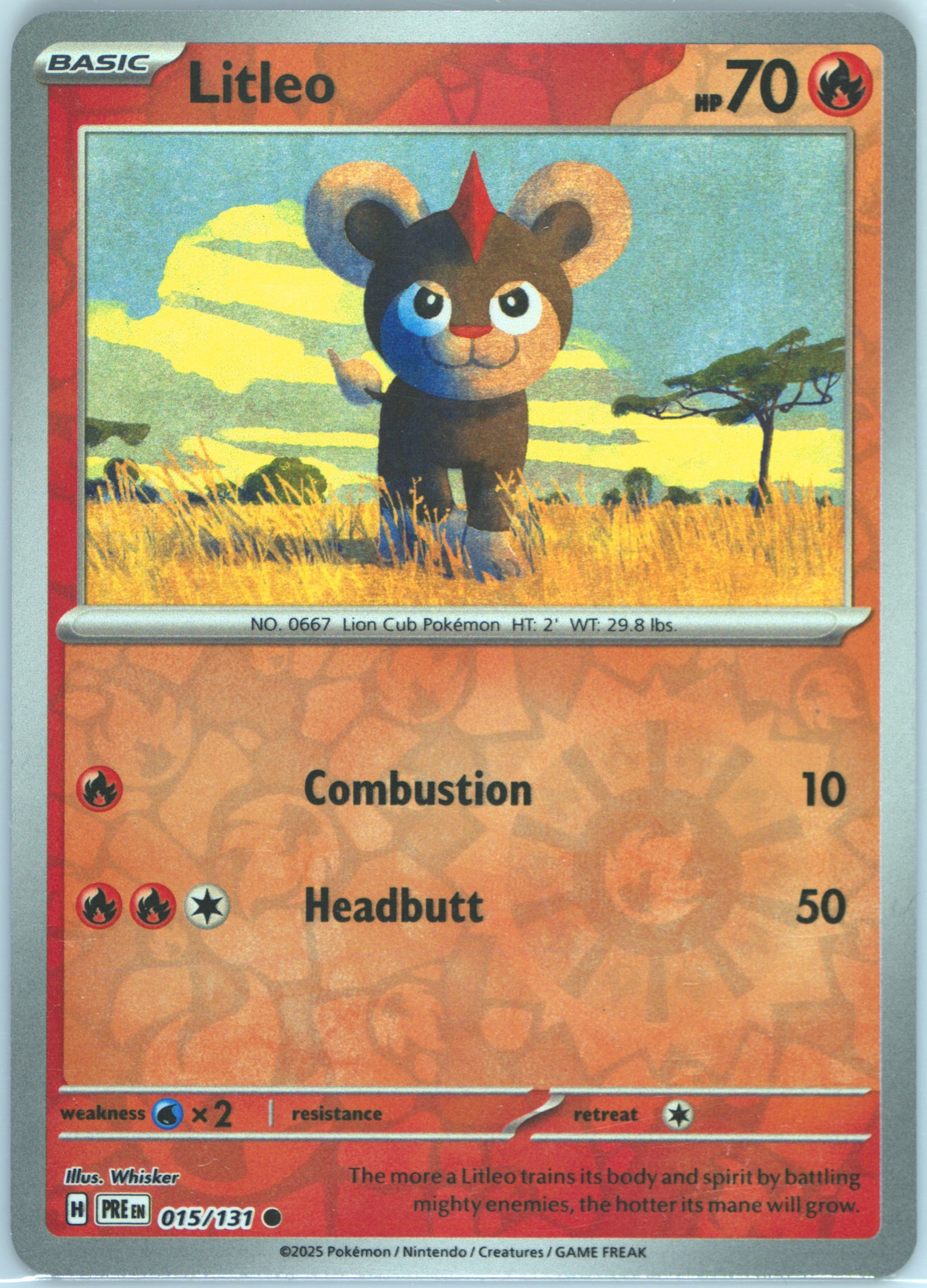 Litleo