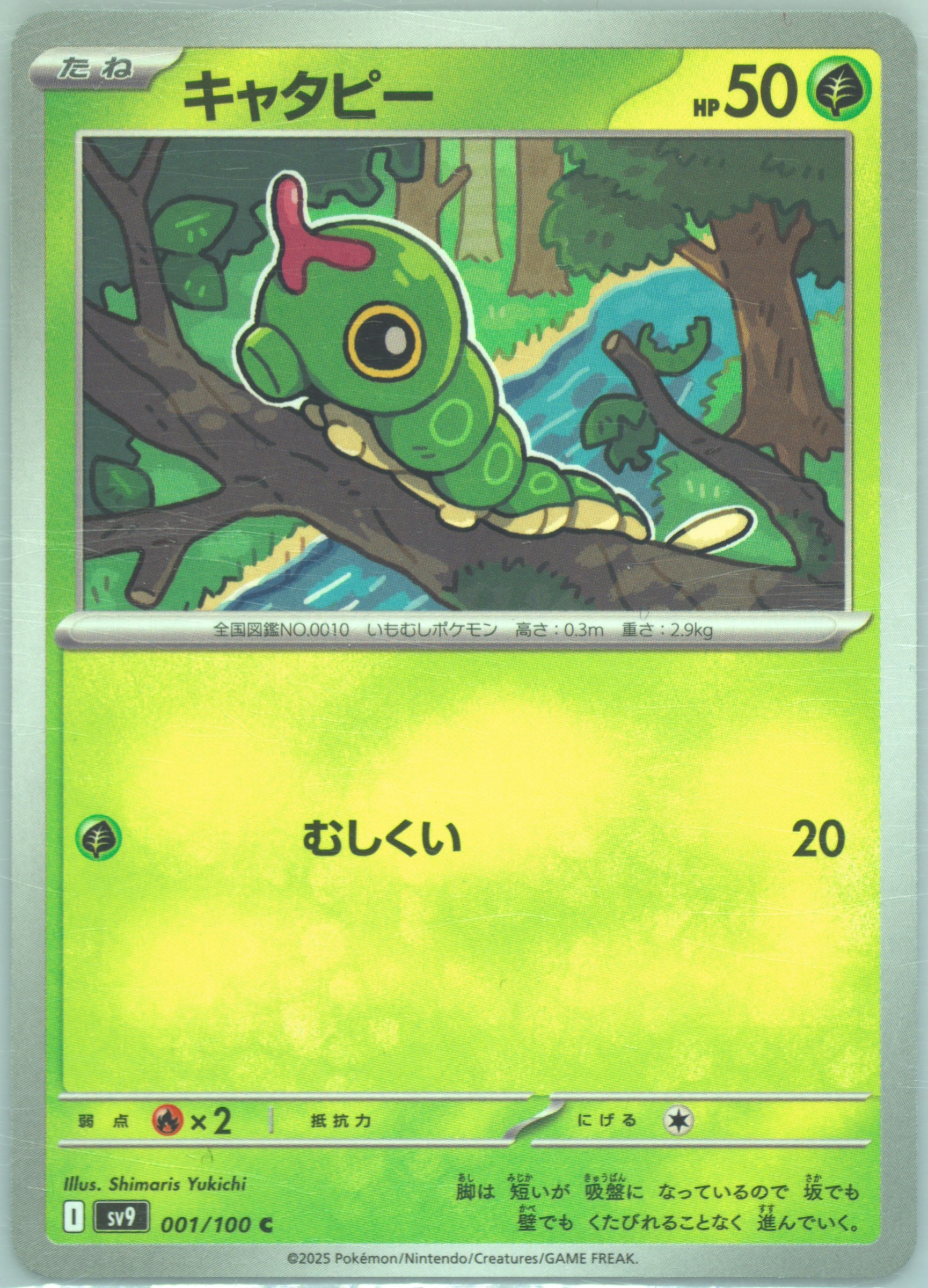 Caterpie キャタピー　shadowless PSA9 初期　初版　英語 Caterpie キャタピー shadowless PSA9 初期 初版 英語 12682016.jpg
