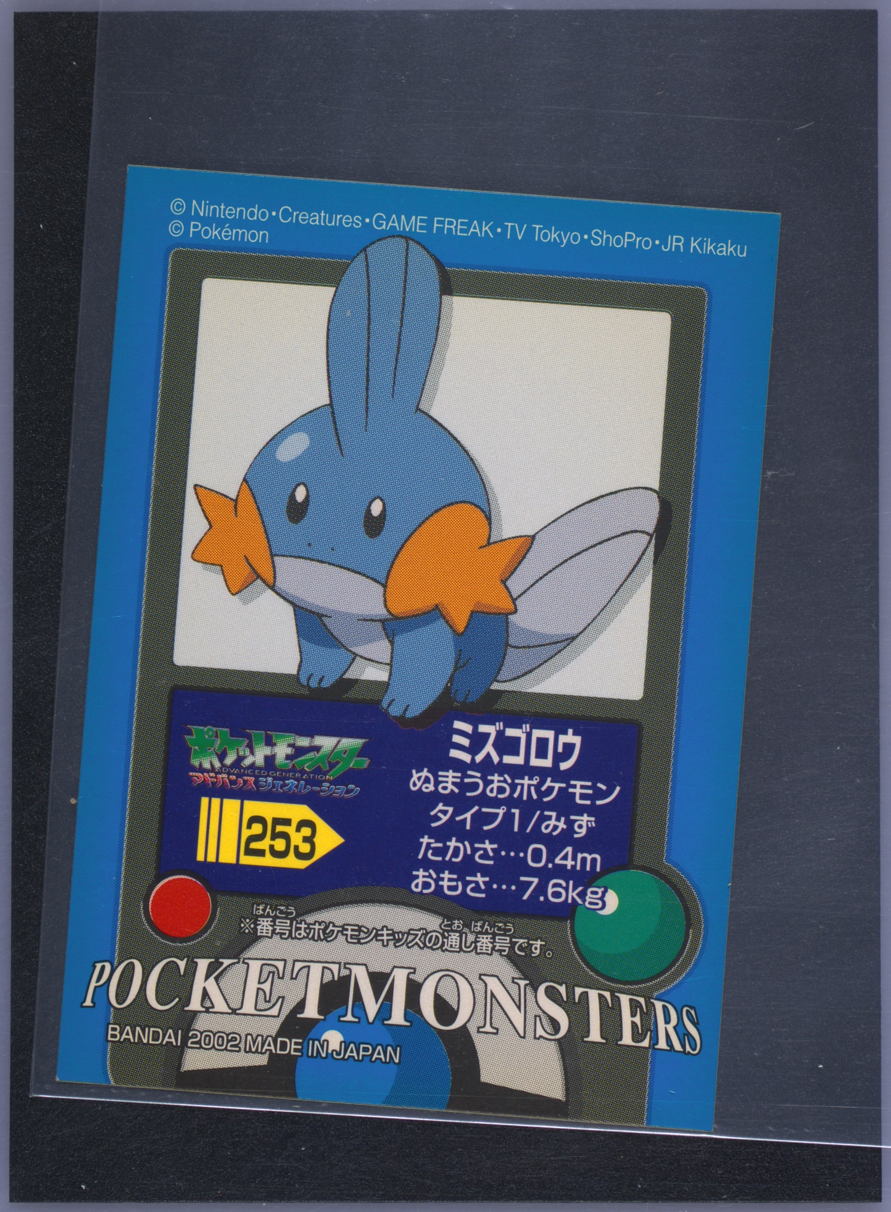 Mudkip