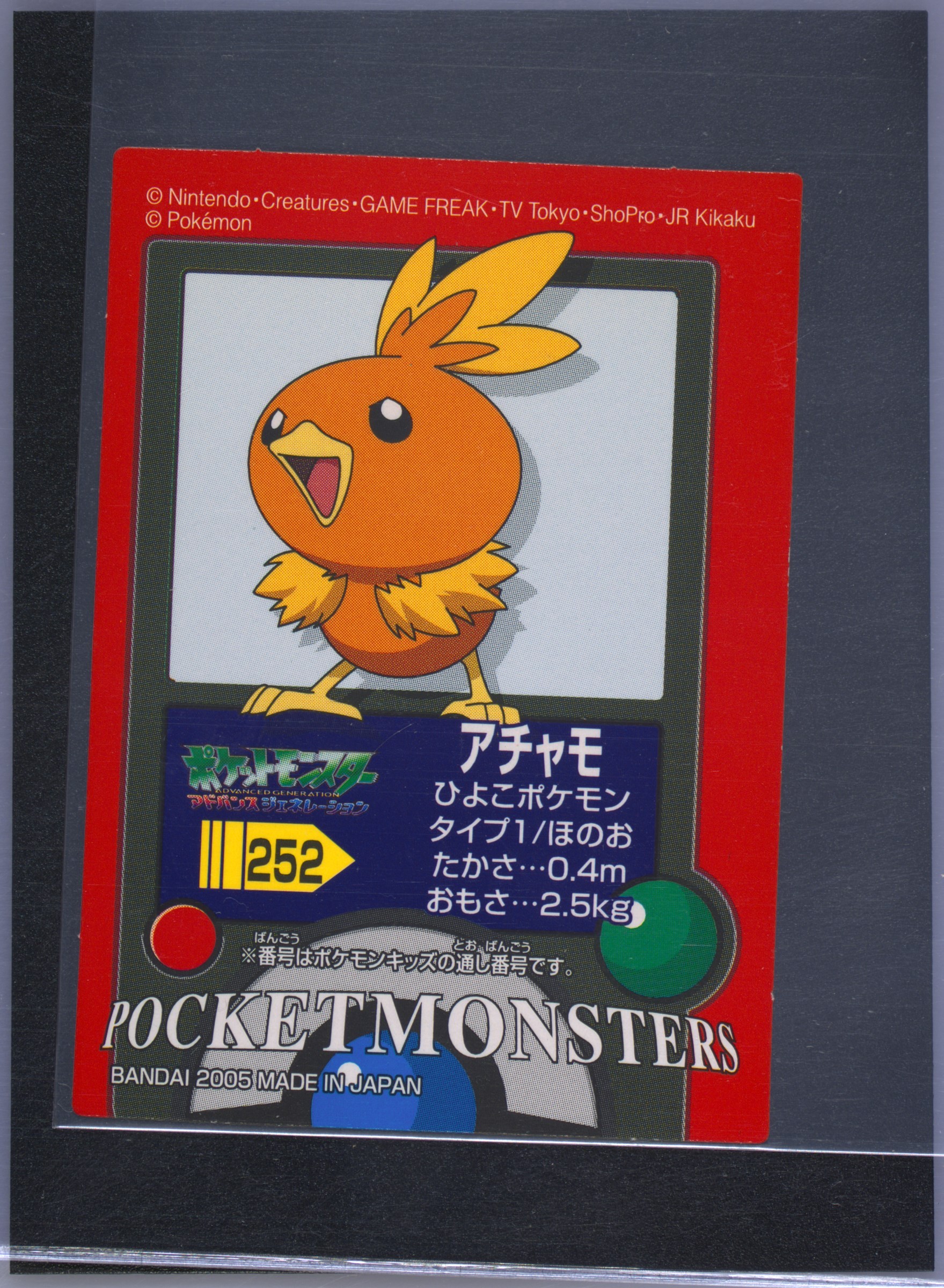 Torchic