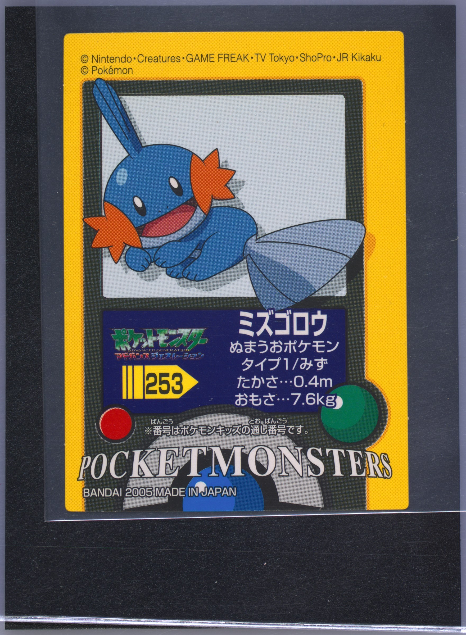 Mudkip