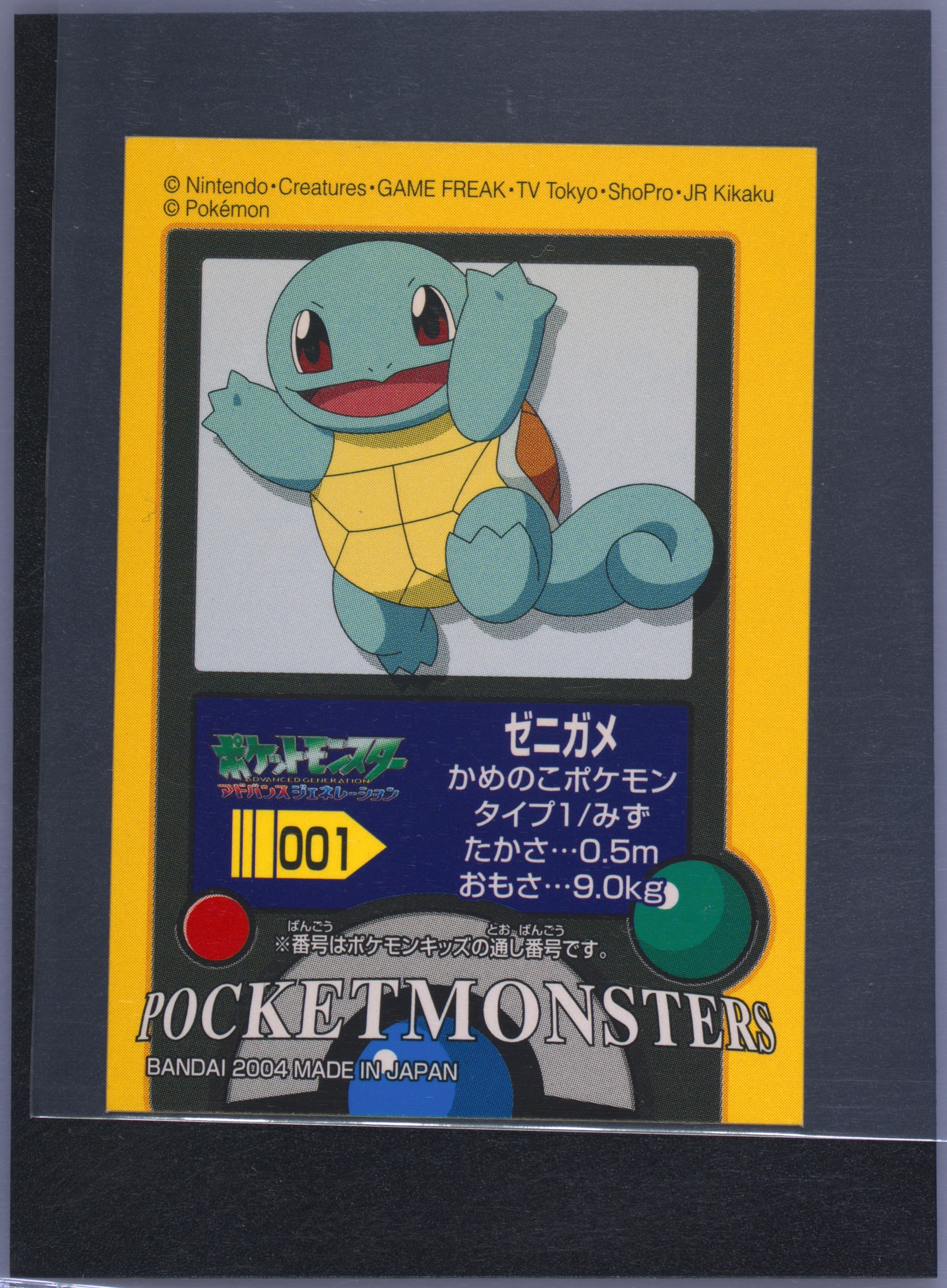Squirtle