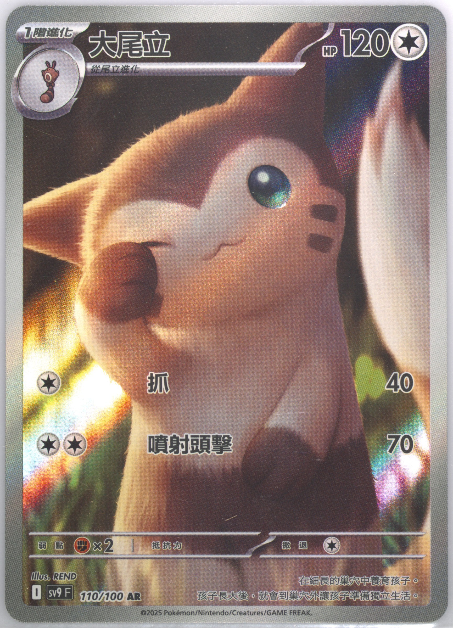 Furret