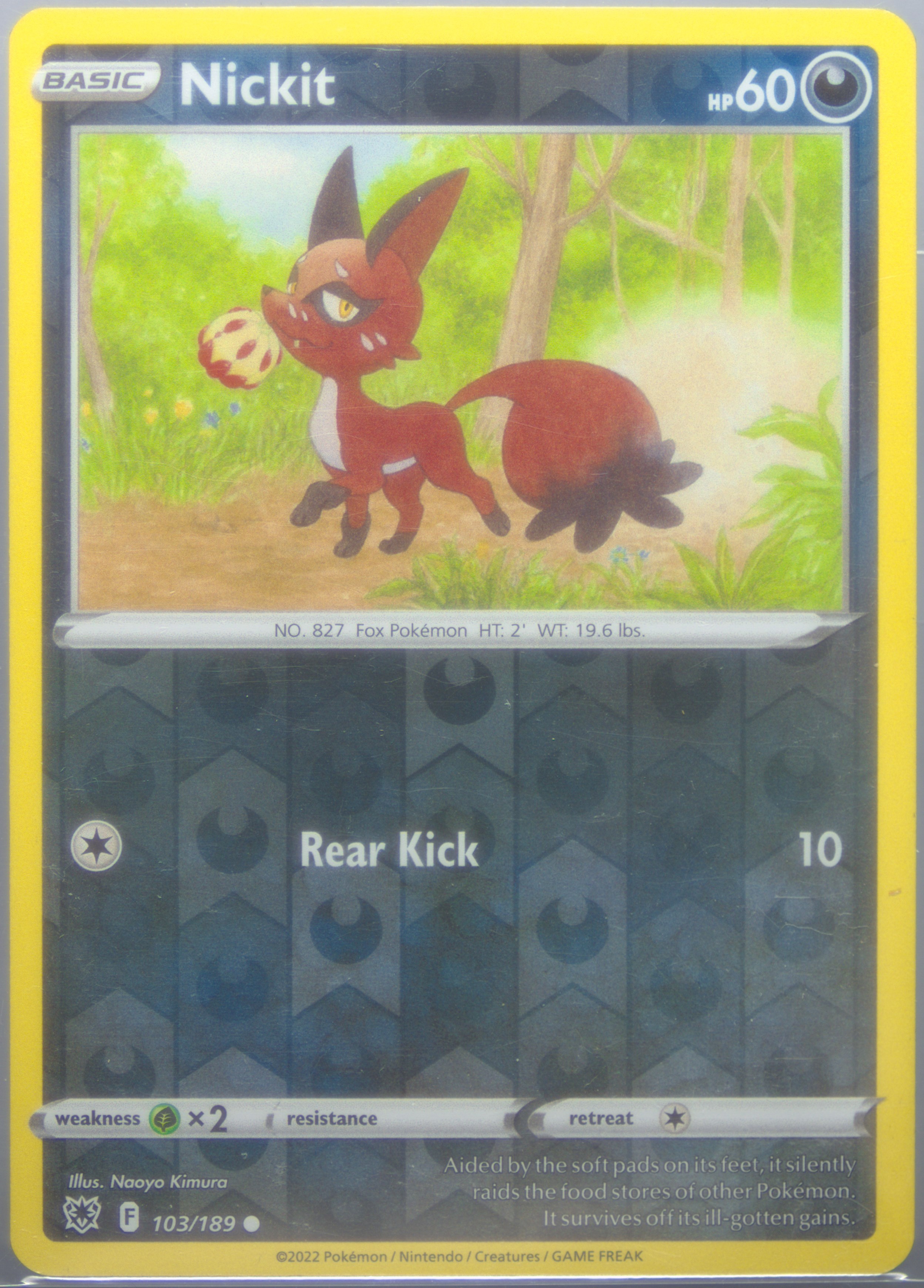 Nickit-Reverse Foil