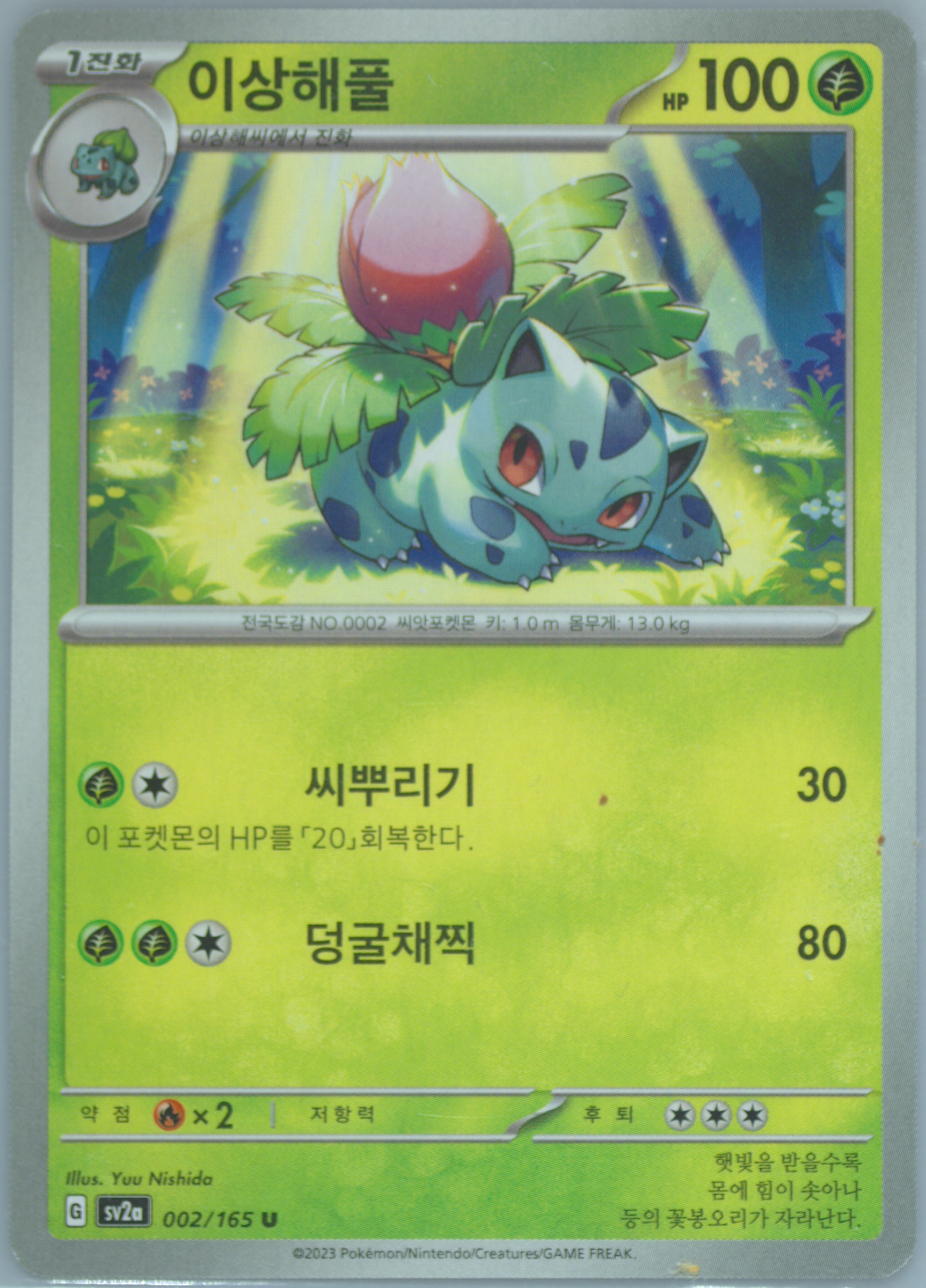 ivysaur pokemon card value PokeDATA [Grass] Ivysaur - Trading Card Game