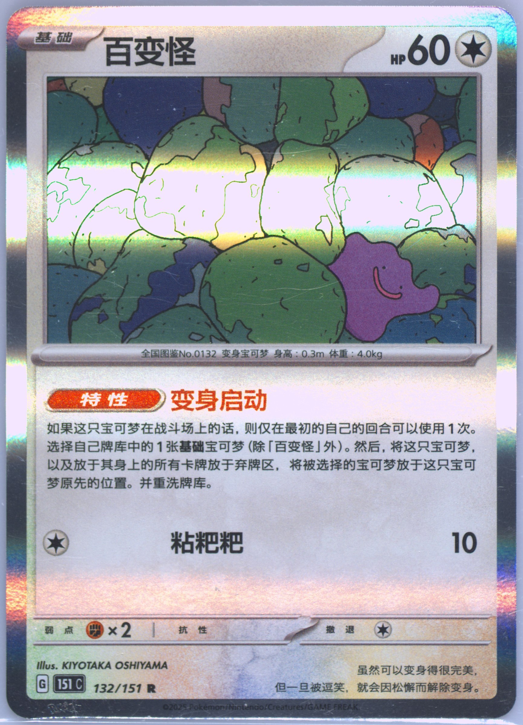 Ditto