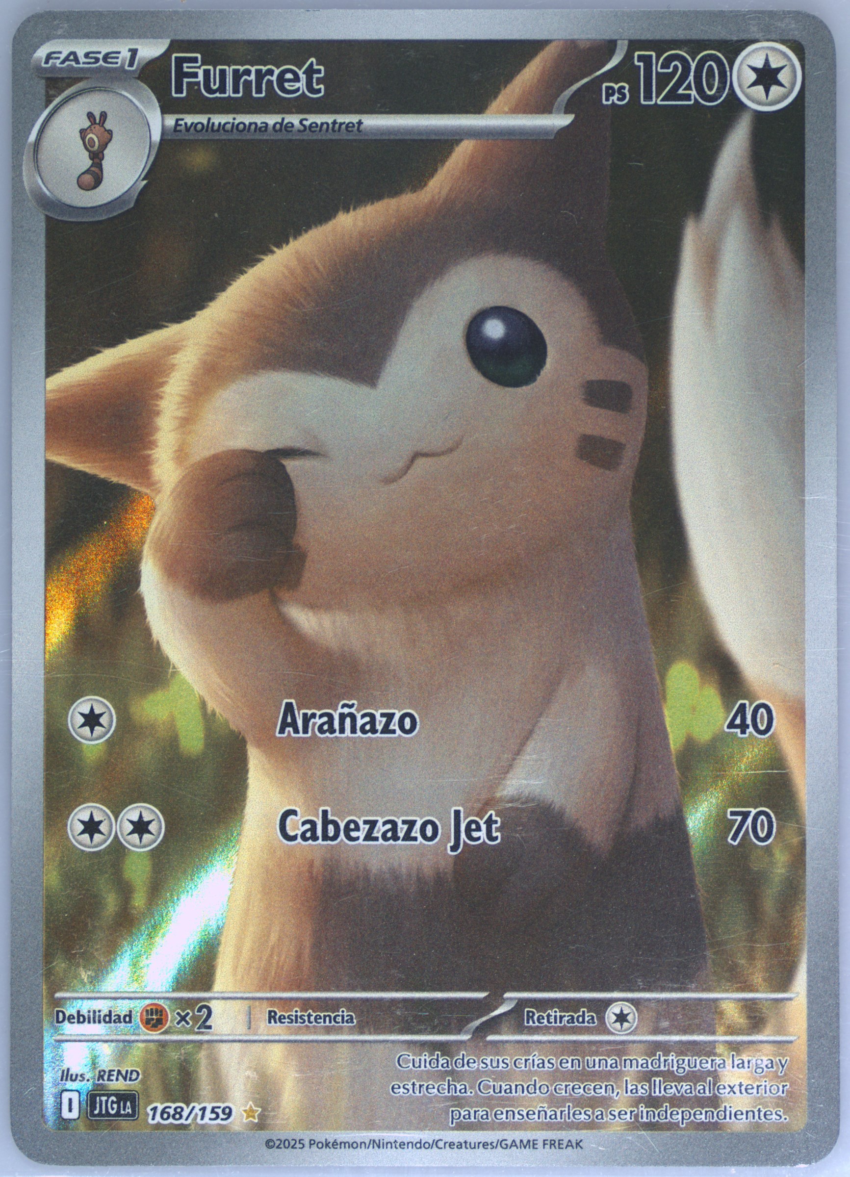 Furret