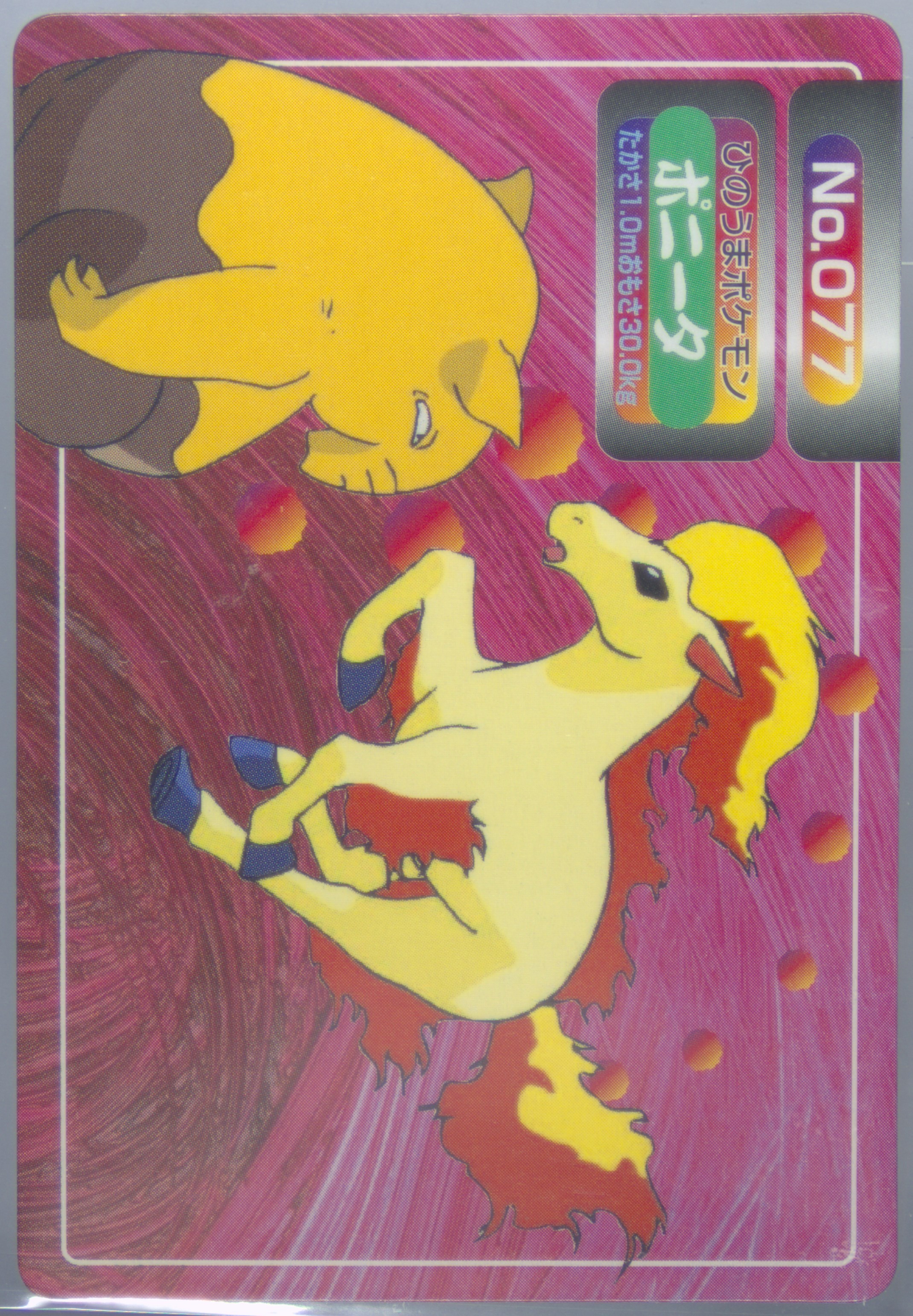 Ponyta