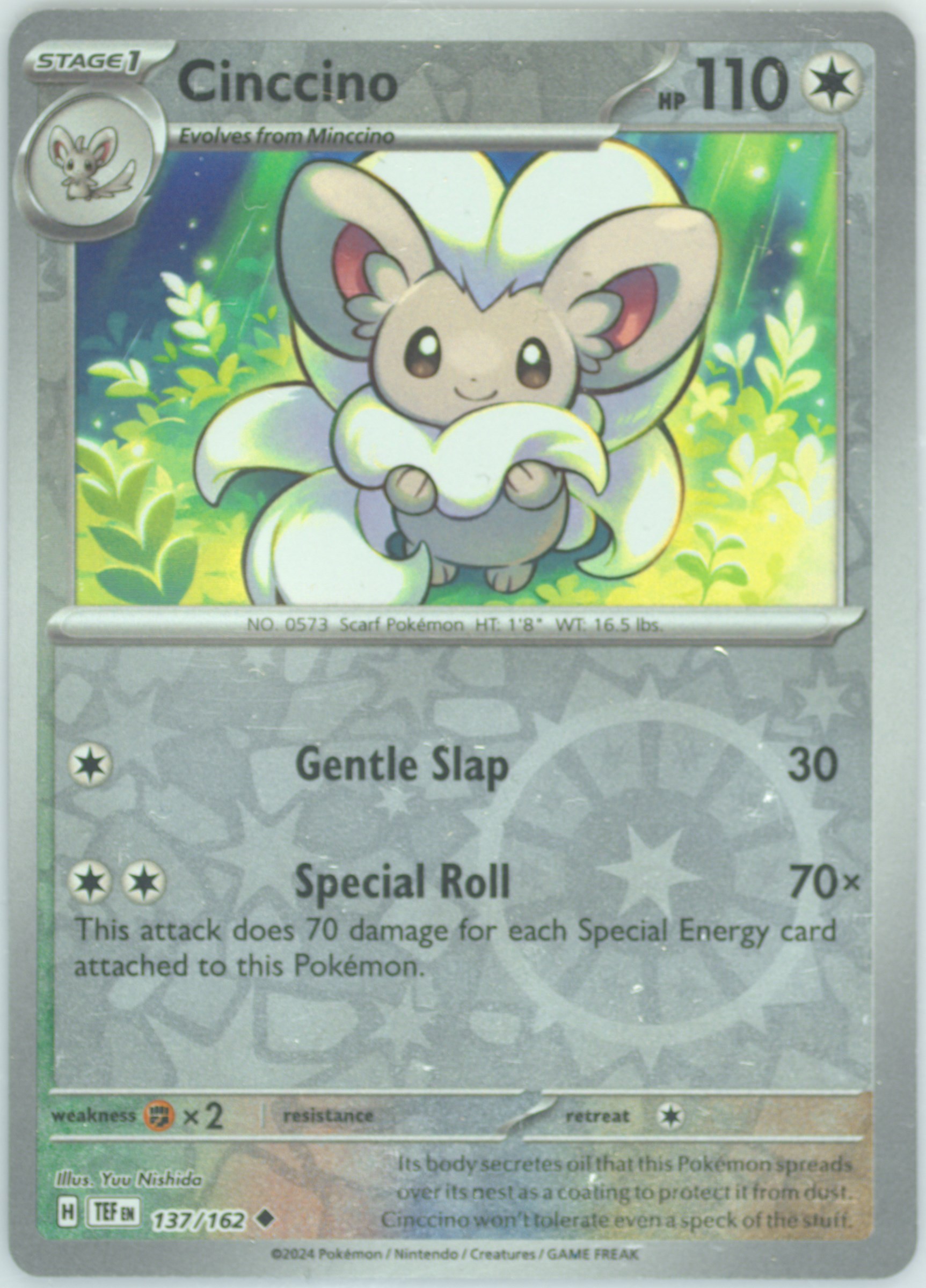 Cinccino