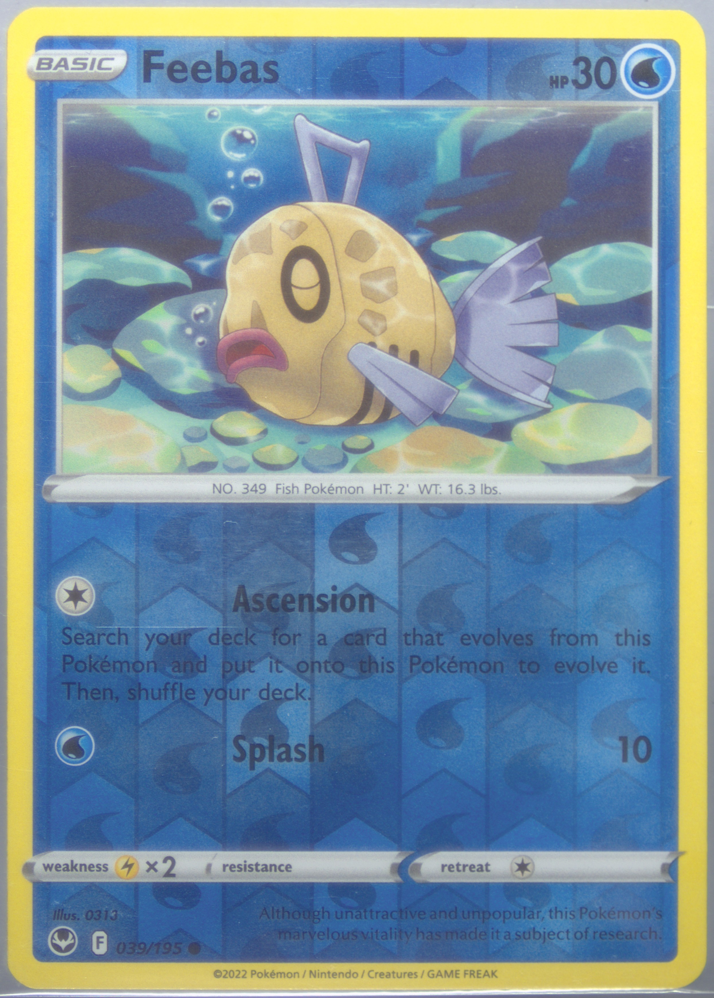 Feebas-Reverse Foil