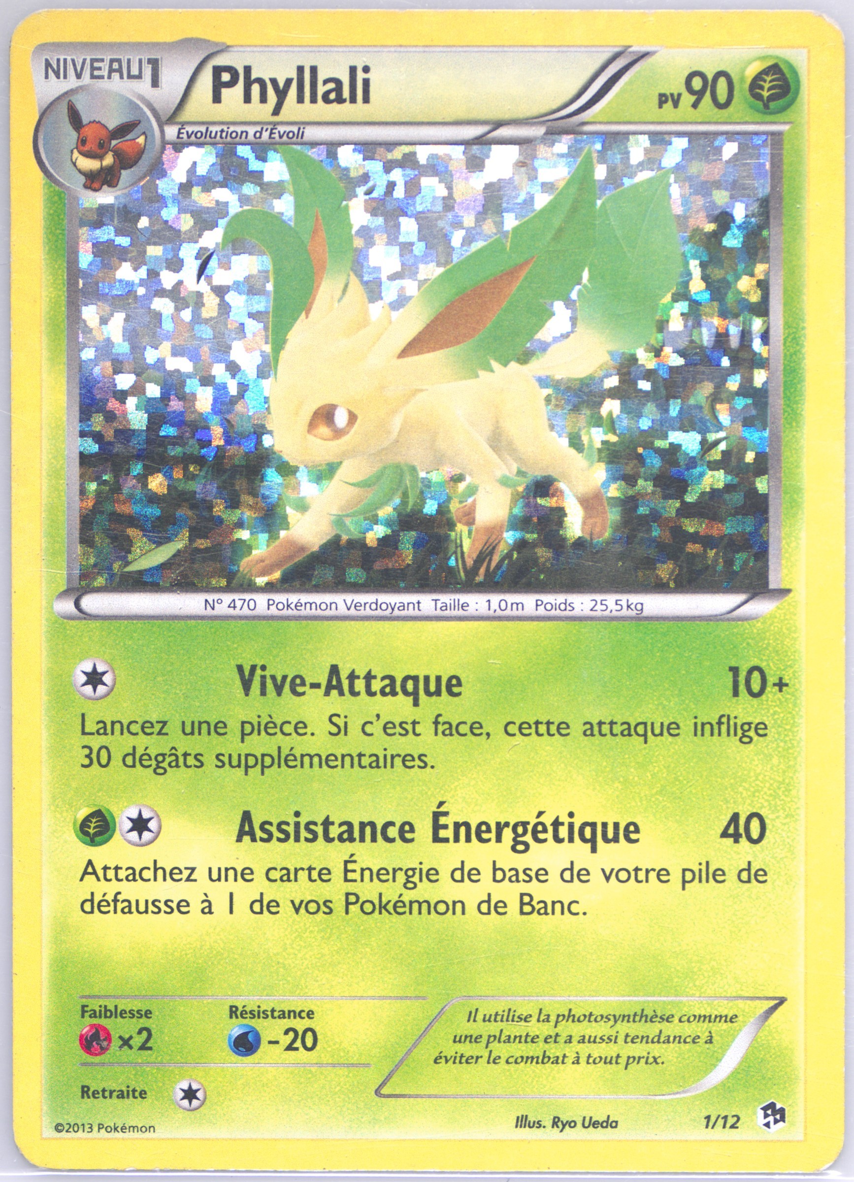 Phyllali-Holo