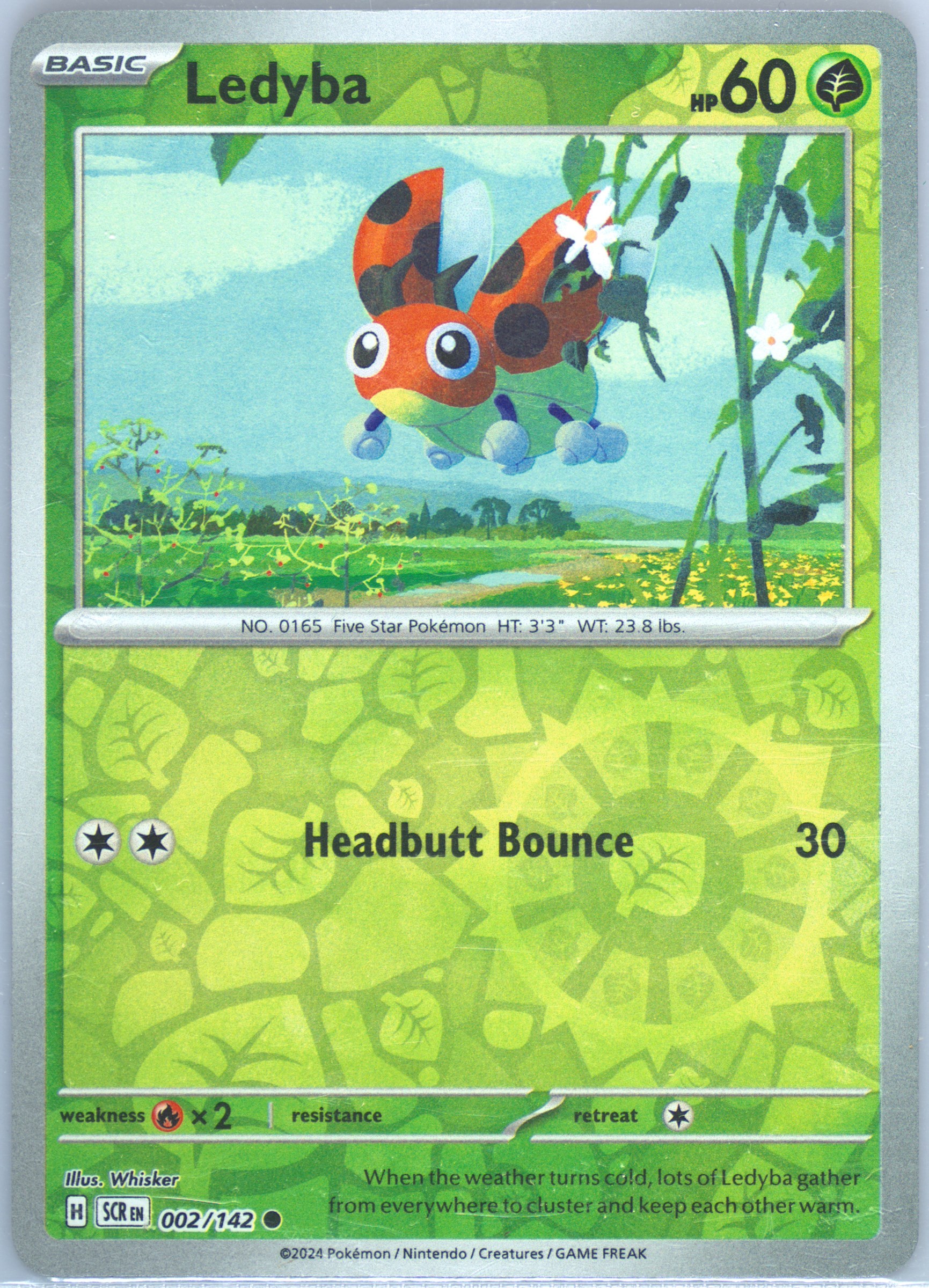 Ledyba