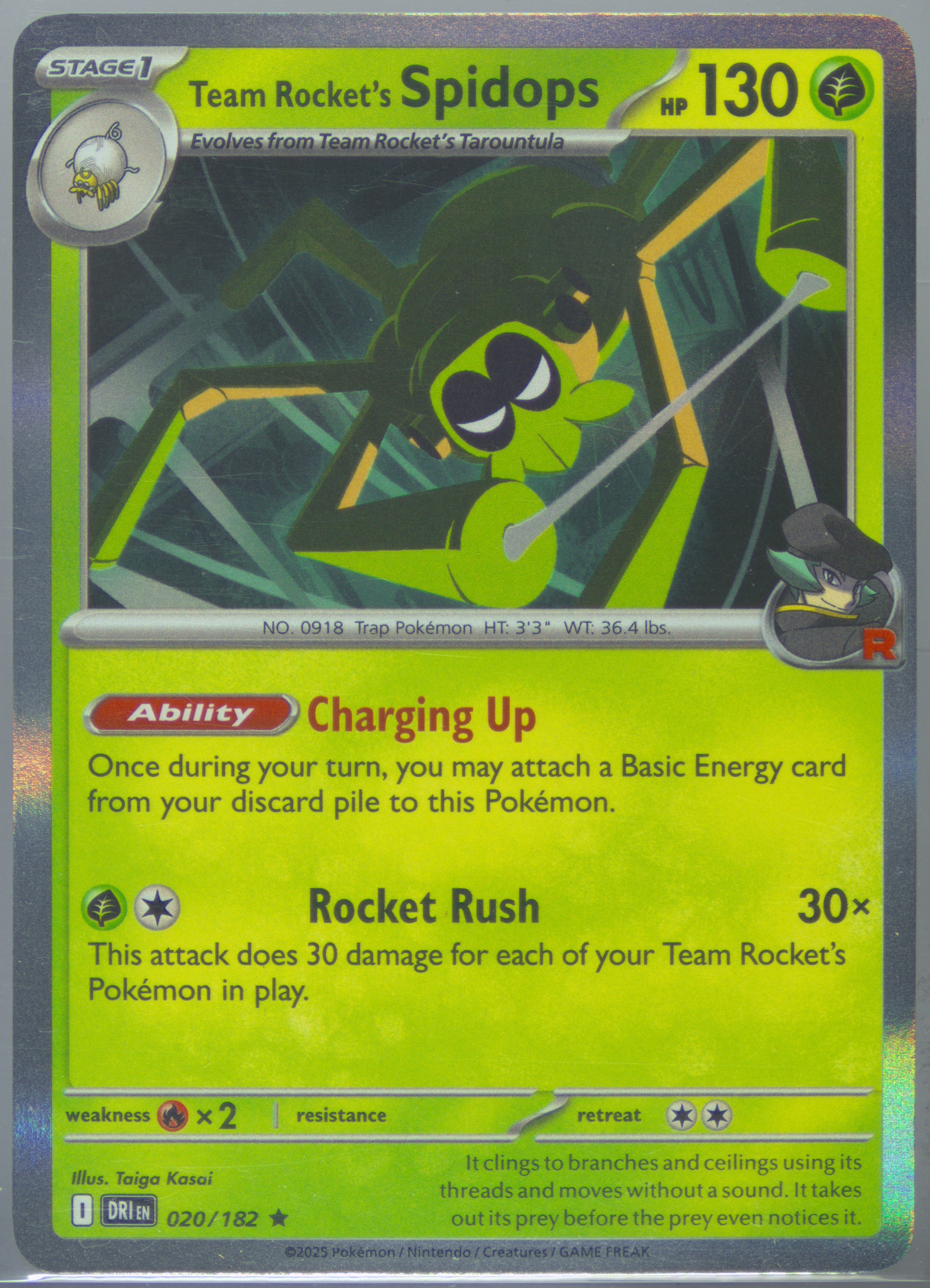 Team Rocket's Spidops
