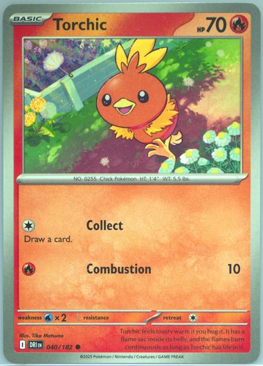 Torchic