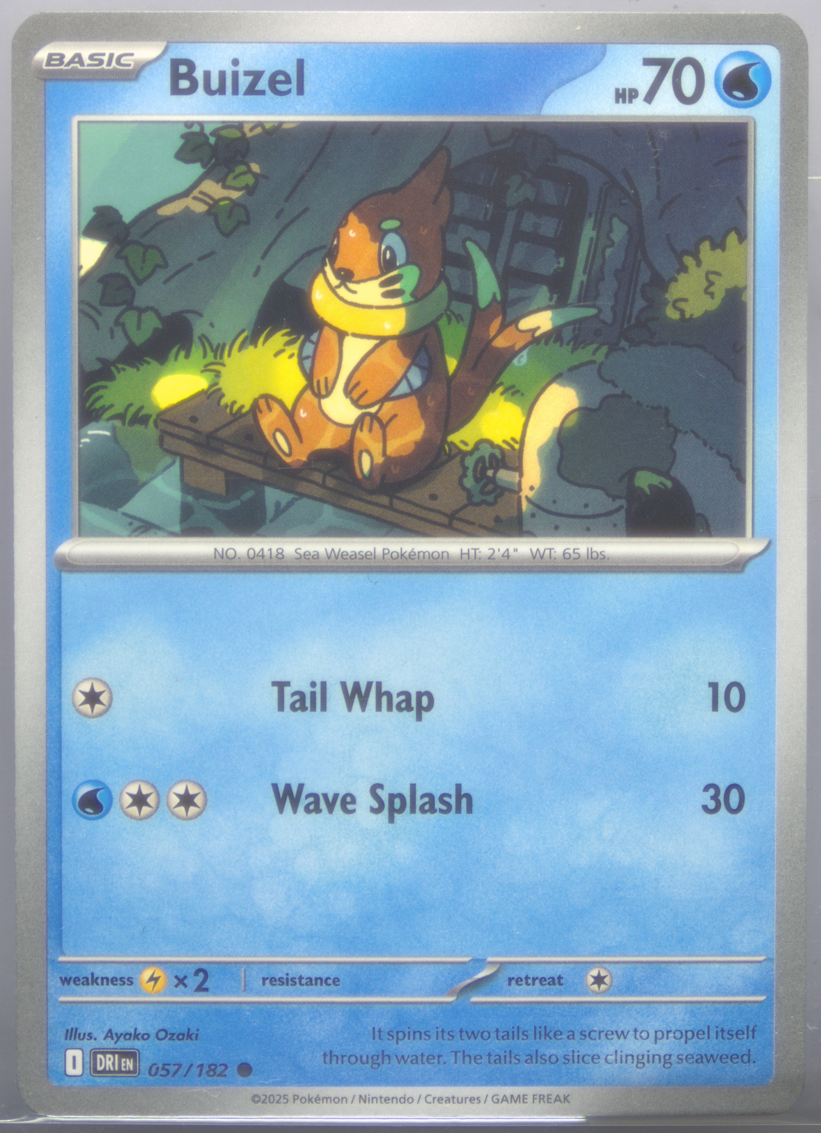 Buizel