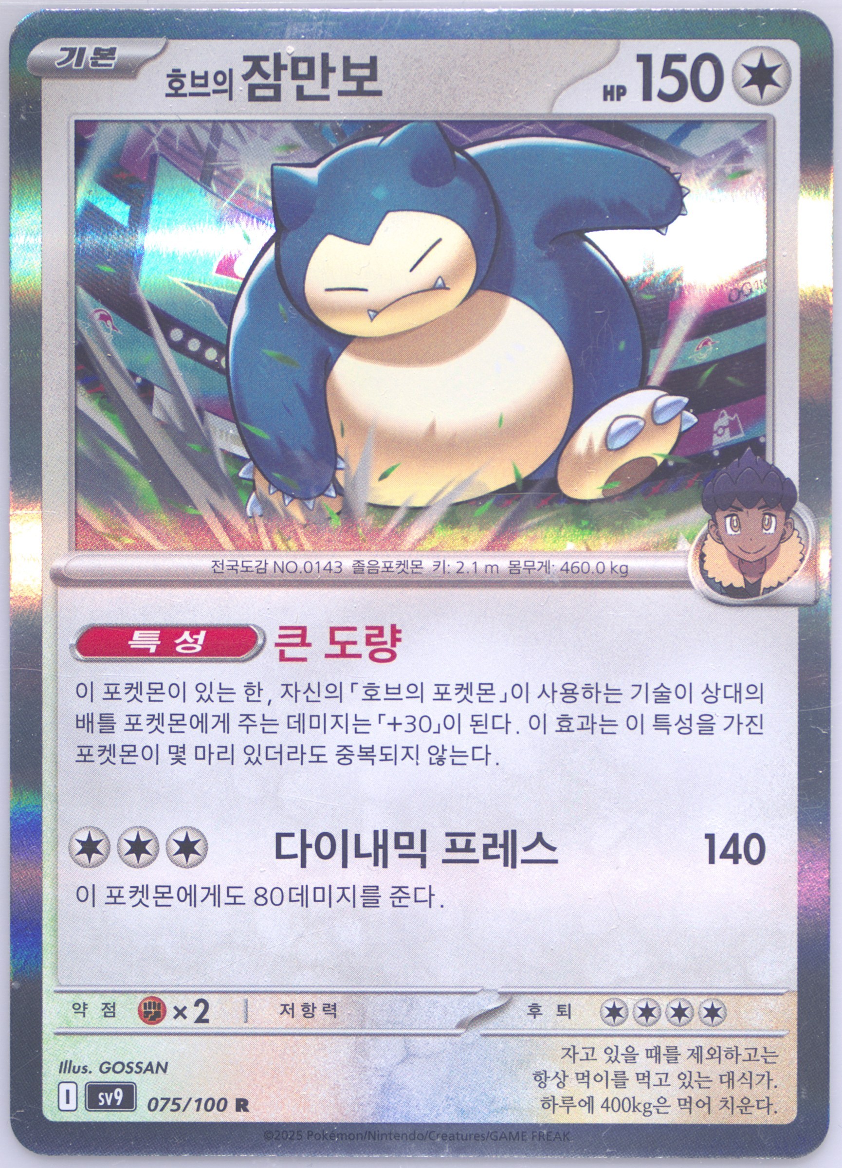 Hop's Snorlax