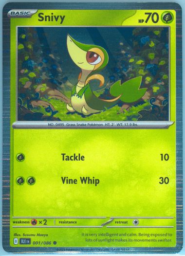 Snivy