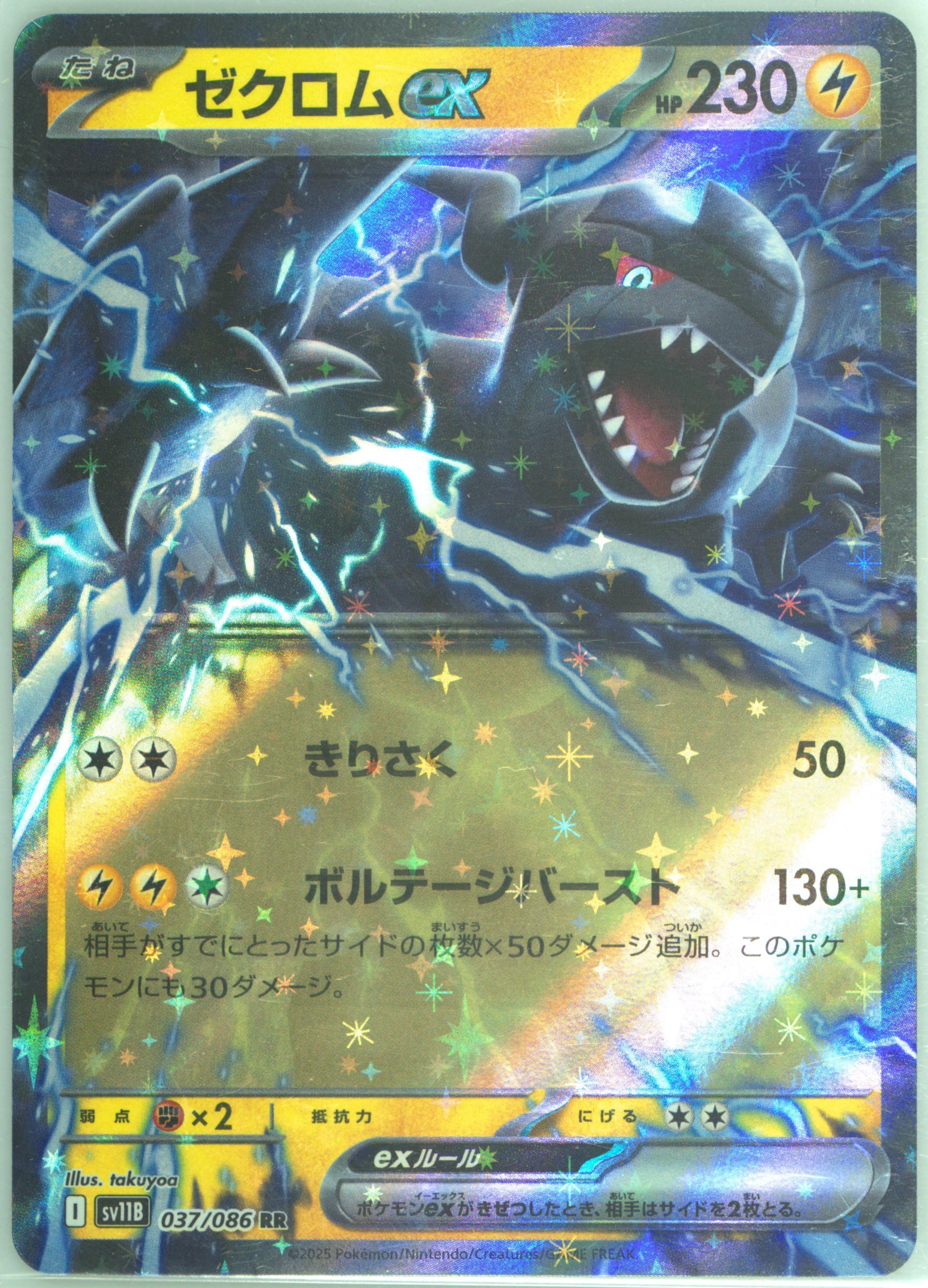 Zekrom EX