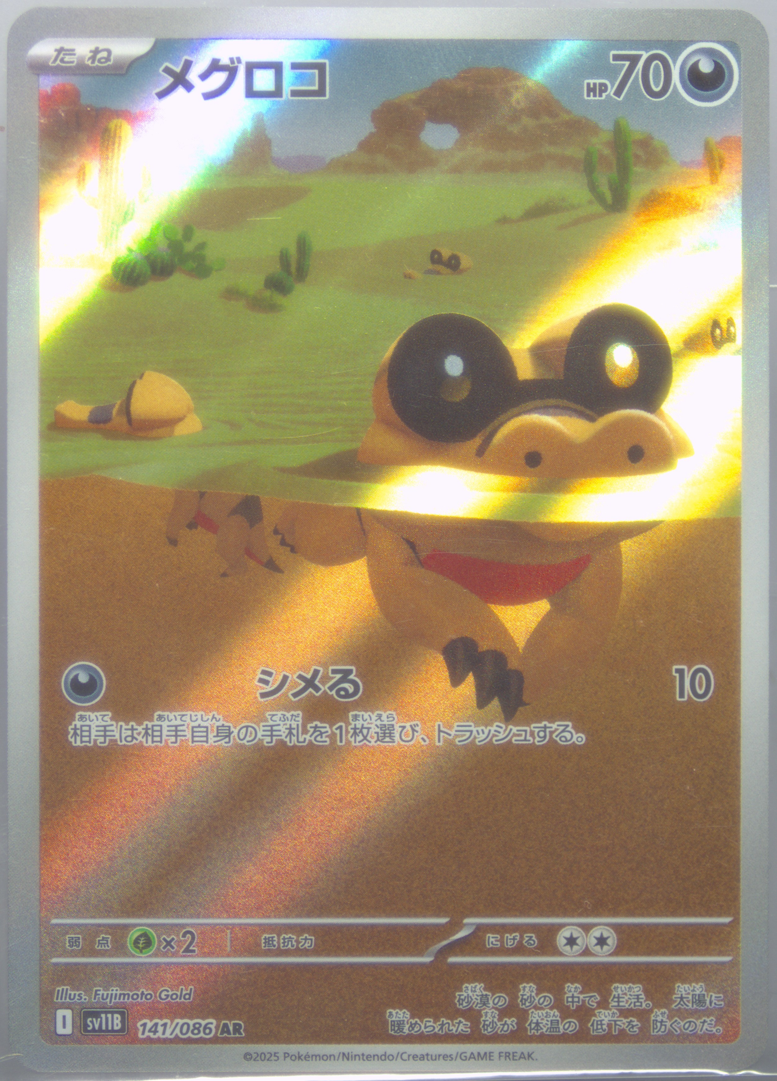 Sandile