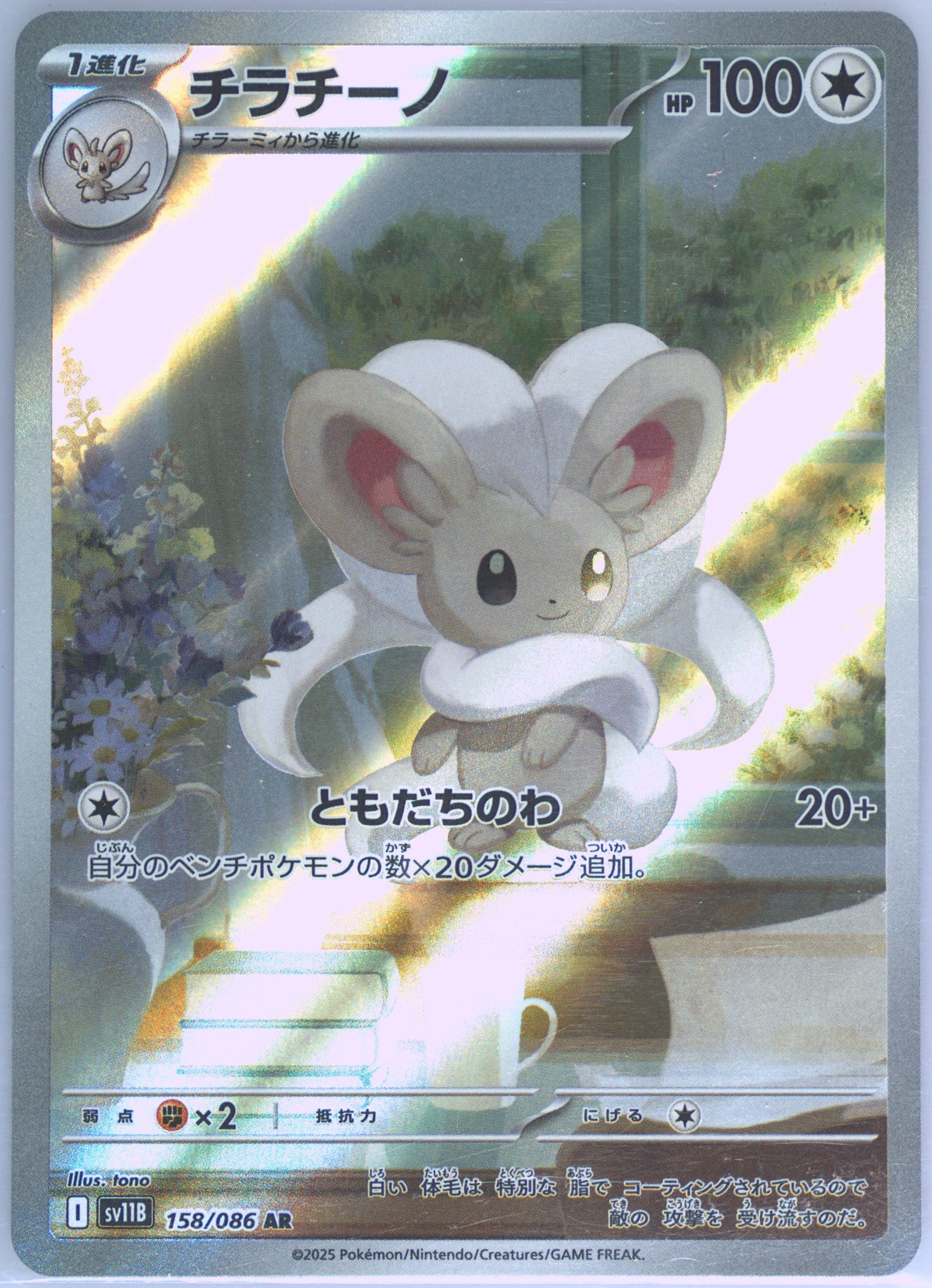 Cinccino